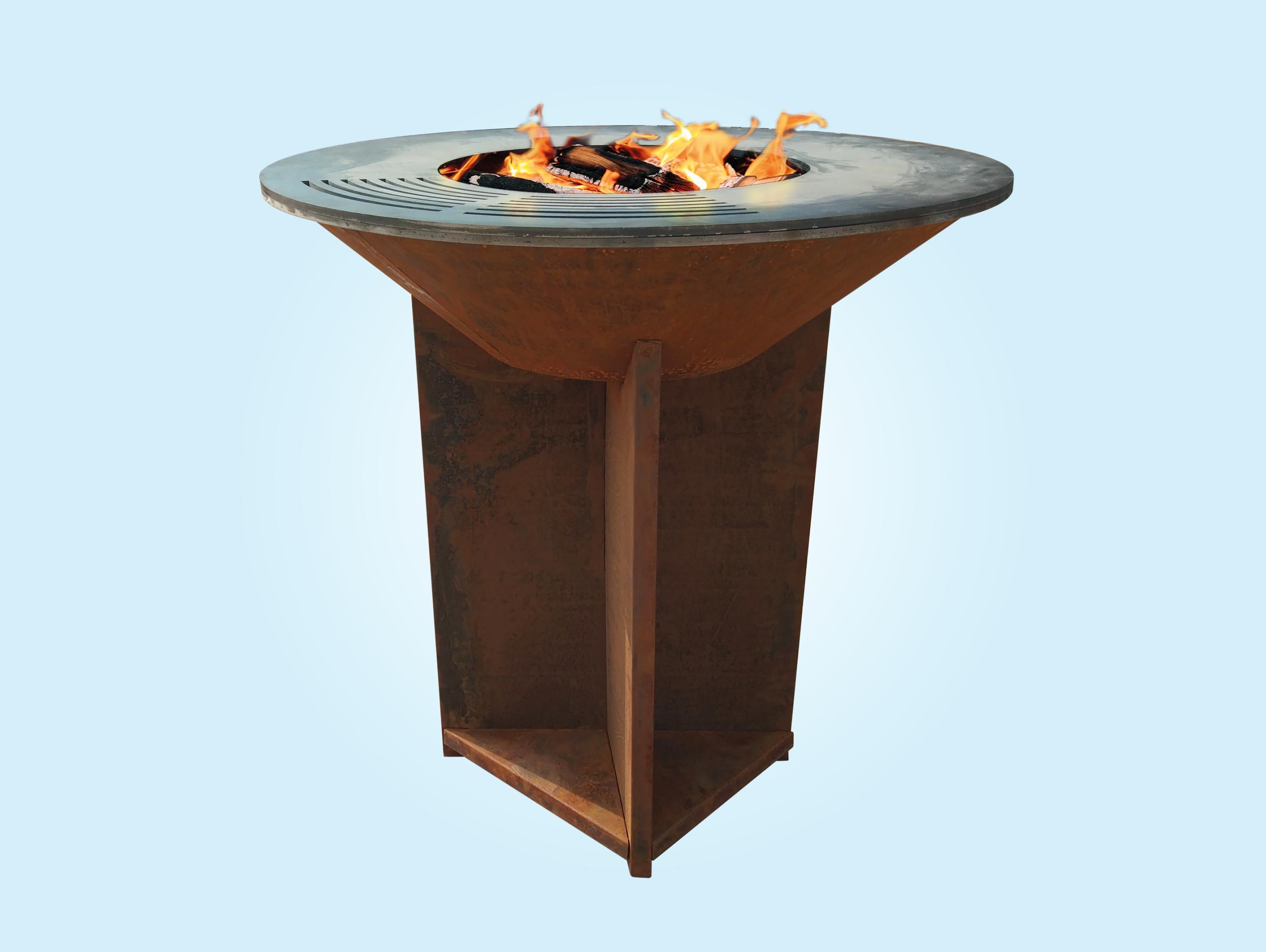 Carburant bois et charbon 8436545098769 EFP56CO