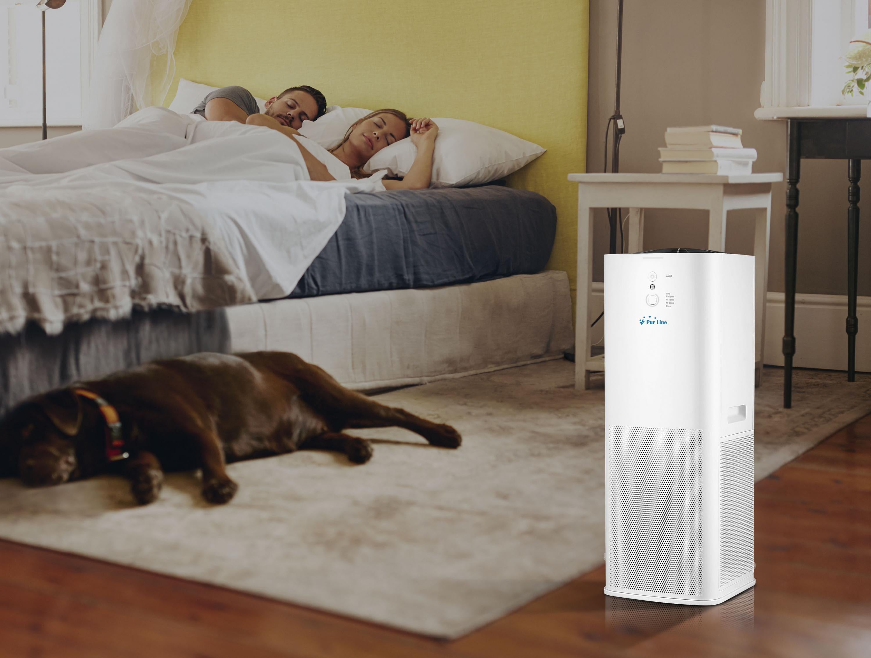 Purificateur d'air avec 2 filtres HEPA, PM2, ioniseur, écran tactile LED, 3 vitesses et mode AUTO pour 90m2.