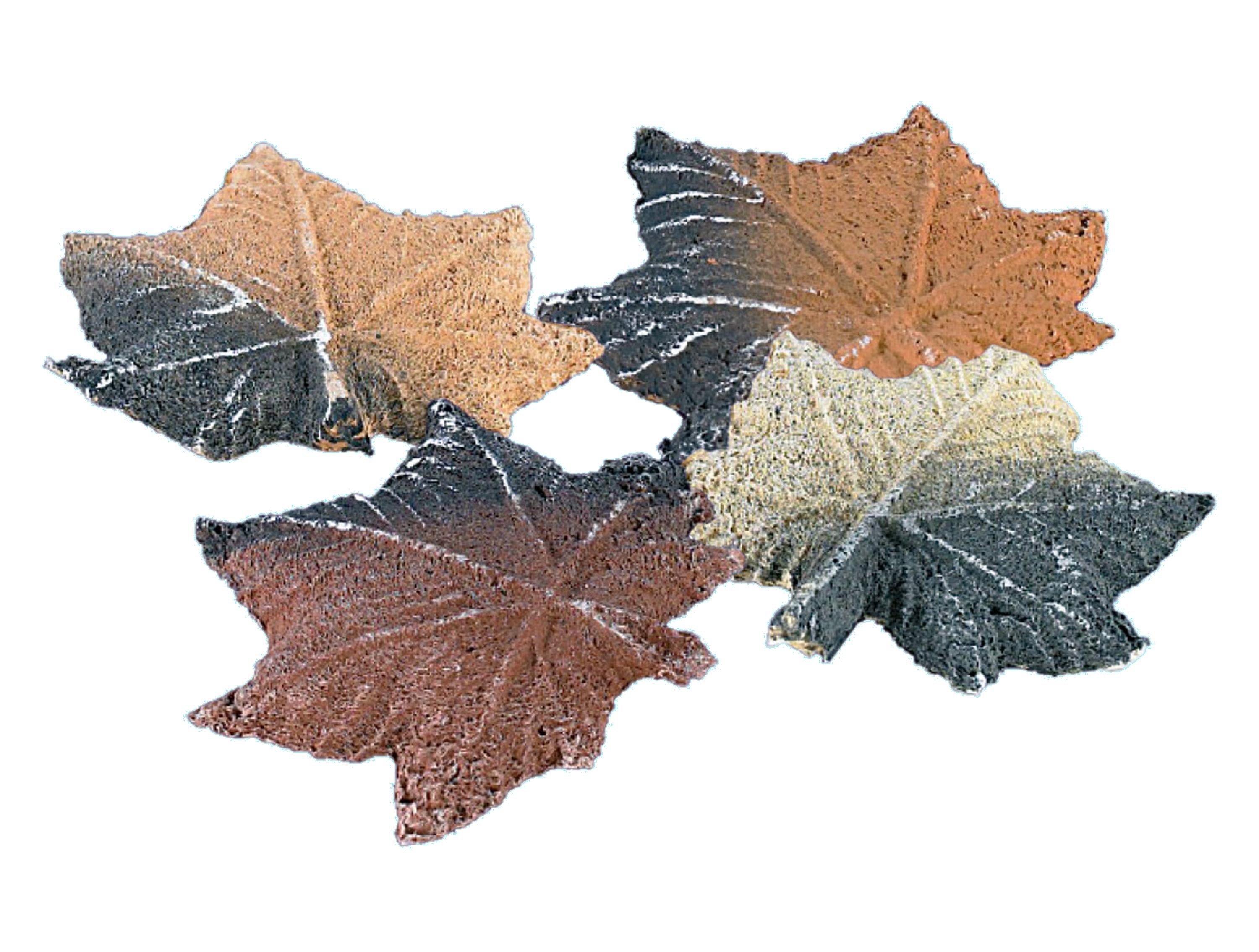 HOJAS ARCE: Accessoires pour biofoyer