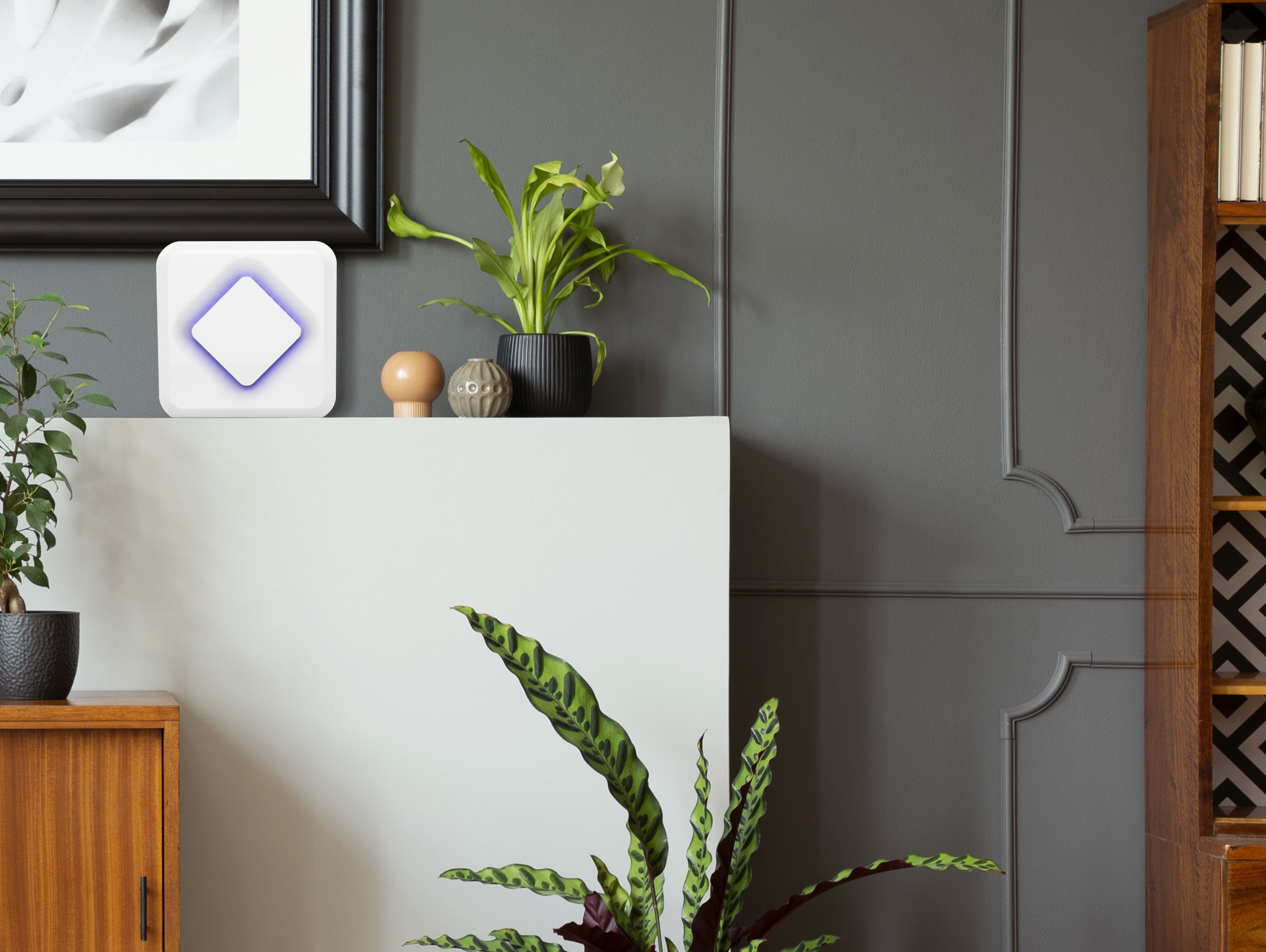 Lampe Anti-Moustiques 7W avec papier adhésif