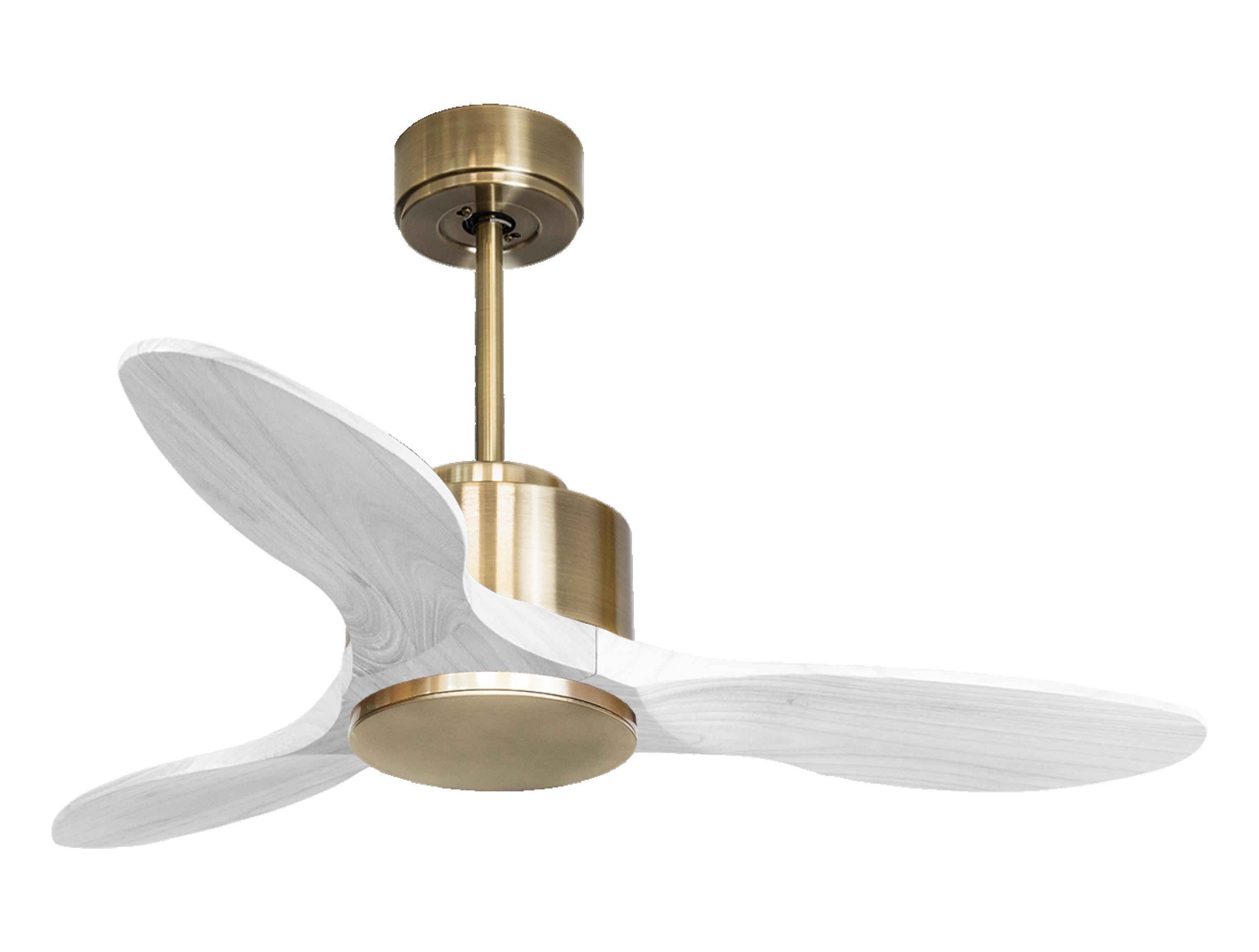 Ventilateur de plafond Réversible Thermostat Wifi Moteur à courant continu Toits en pente Télécommande Hypersilence Mémoire