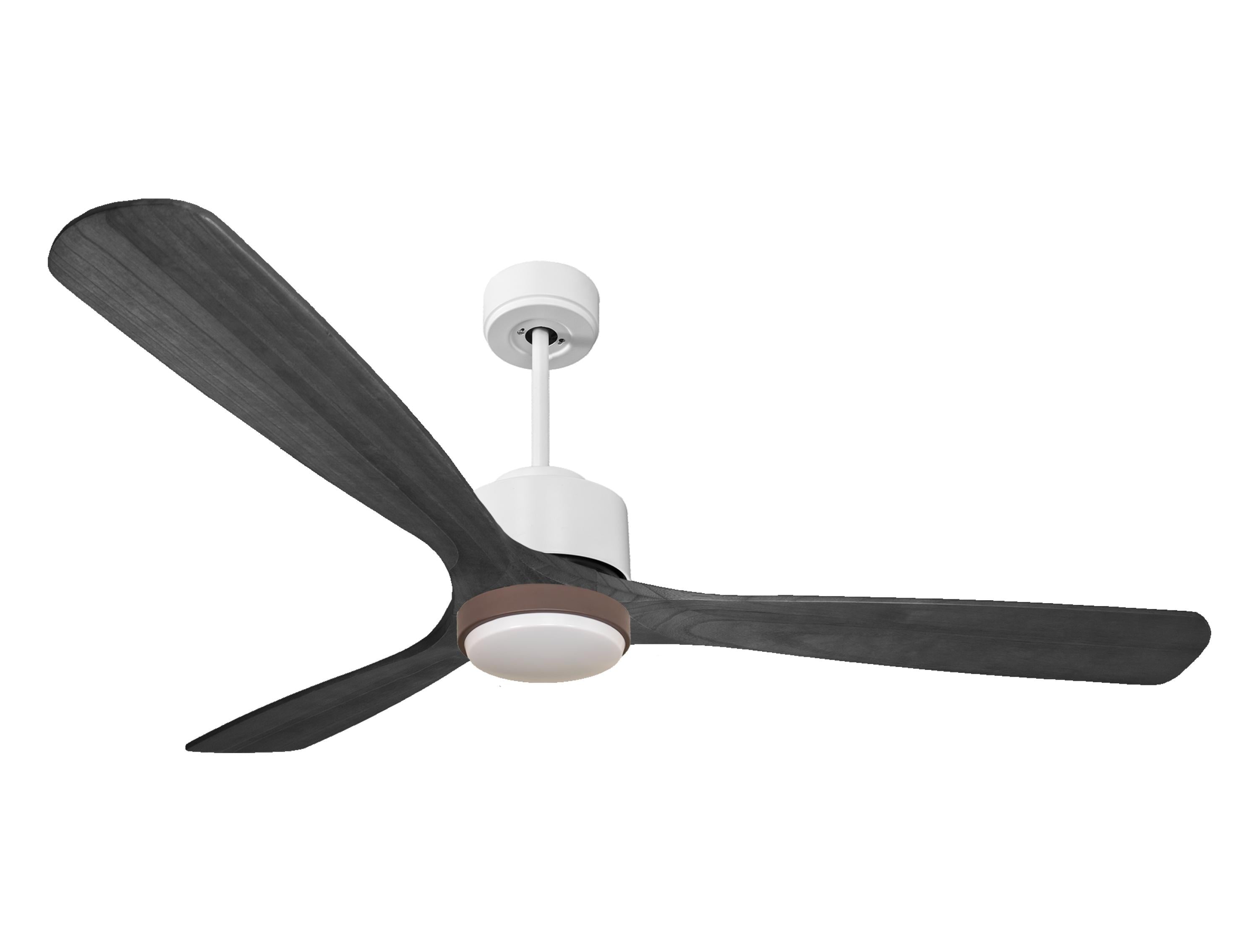 Ventilateur de plafond ultra silencieux et à faible consommation DC MaloloD166C02LED69756