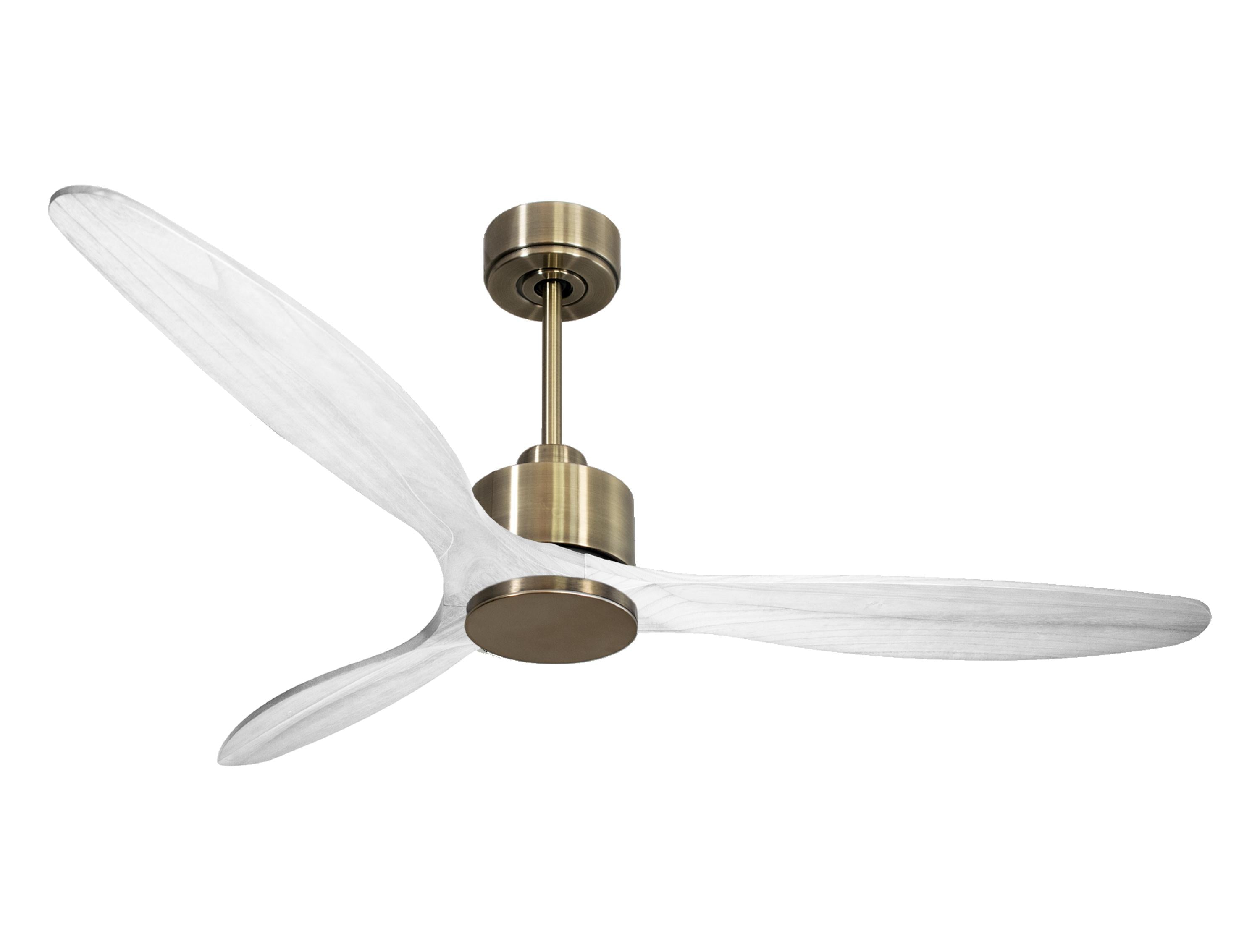 Ventilateur de plafond Wifi Moteur à courant continu Télécommande Hypersilence Mémoire