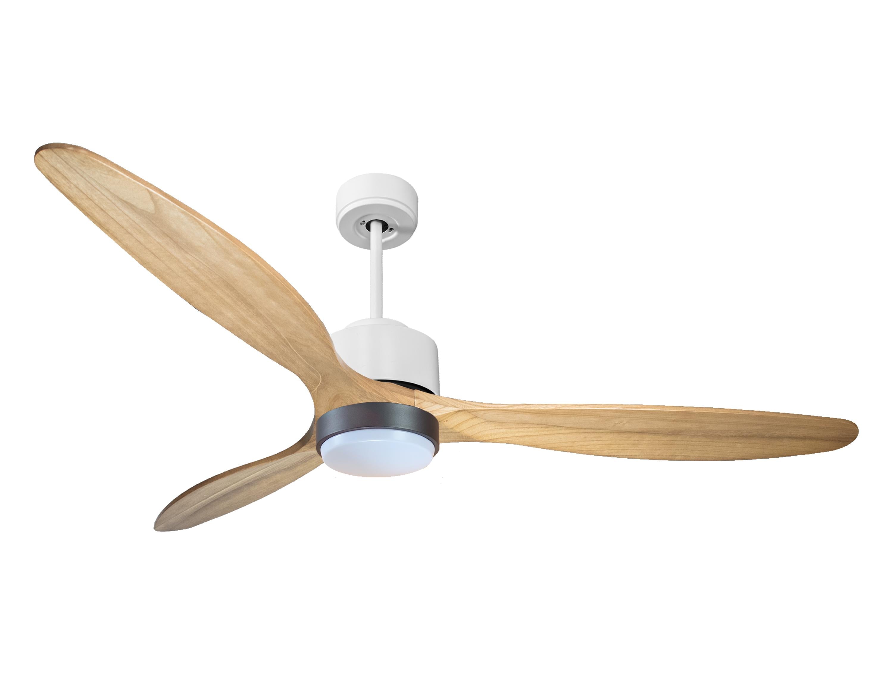 Ventilateur de plafond