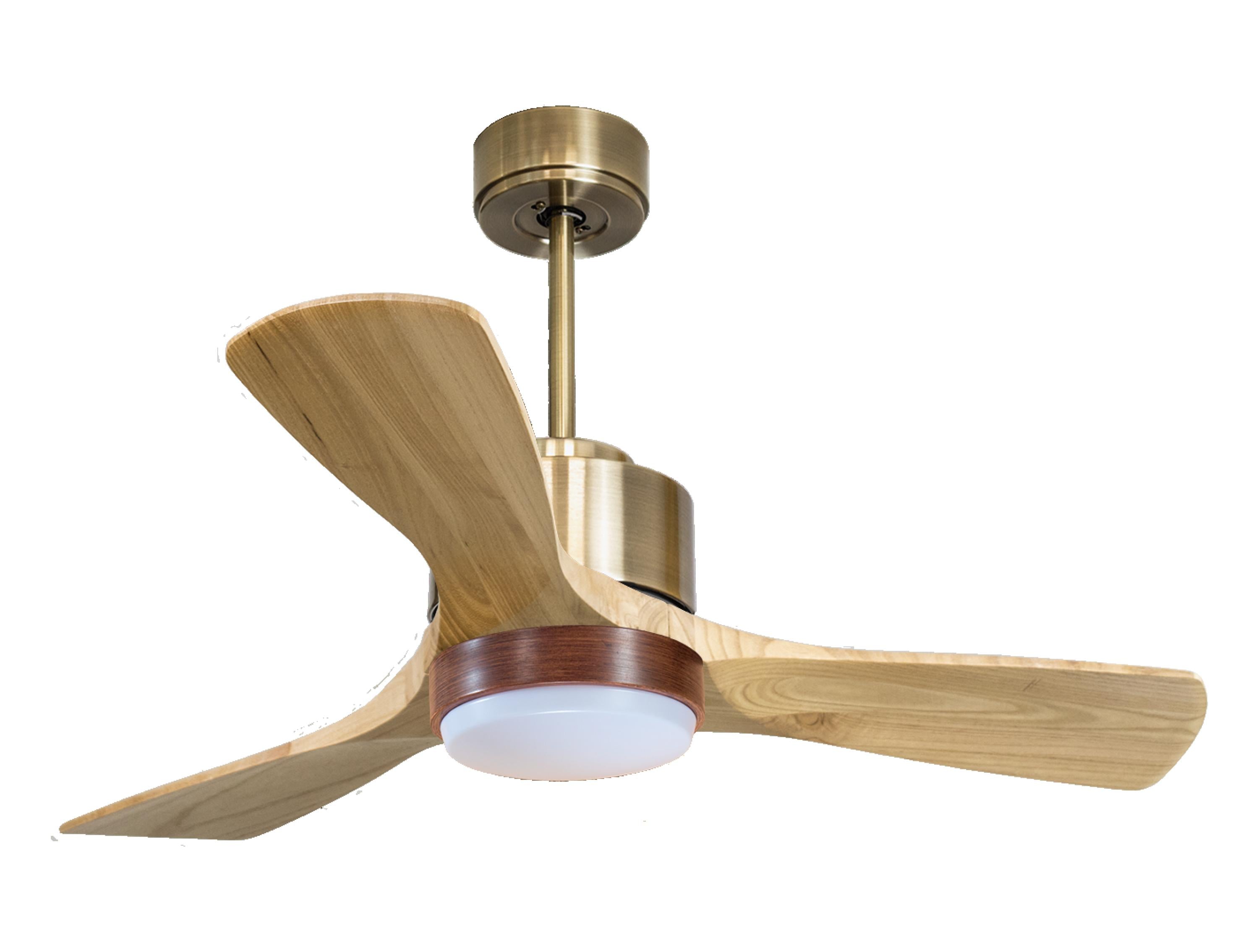 Ventilateur de plafond ultra silencieux et à faible consommation DC RarotongaD106C02LED65939