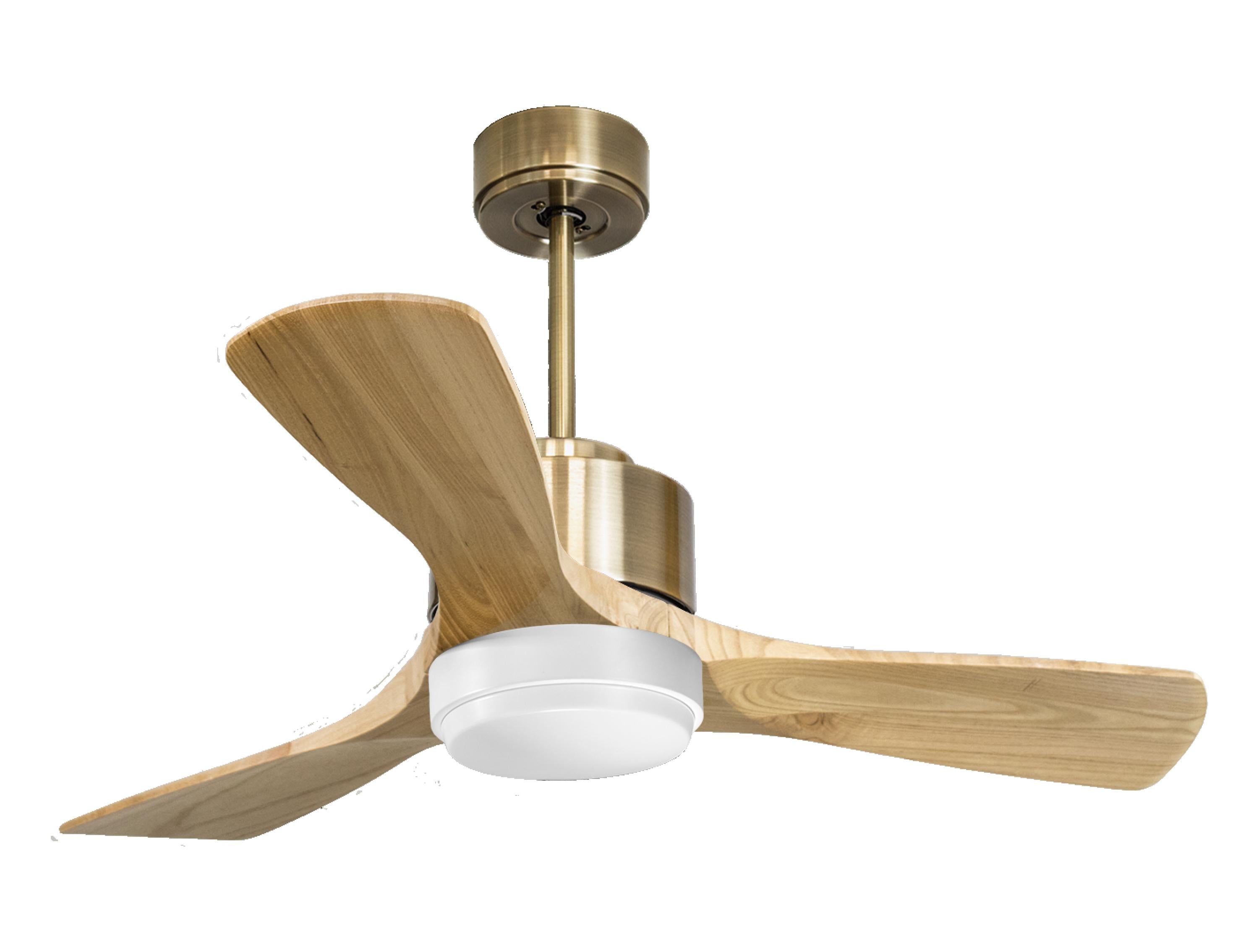 Ventilateur de plafond ultra silencieux et à faible consommation DC RarotongaD106C02LED65941