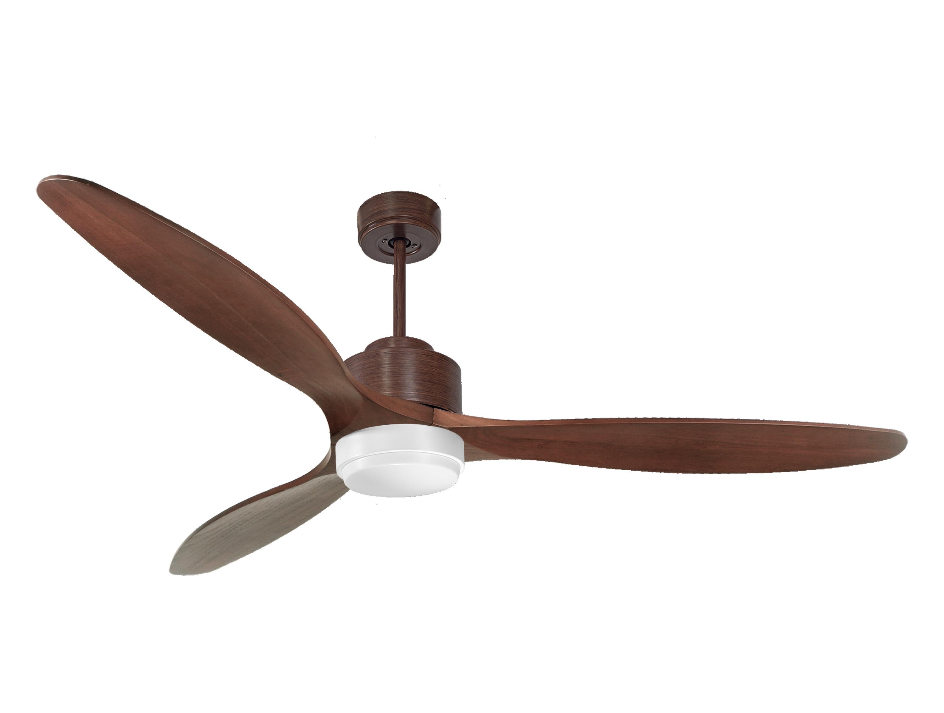 Ventilateur de plafond