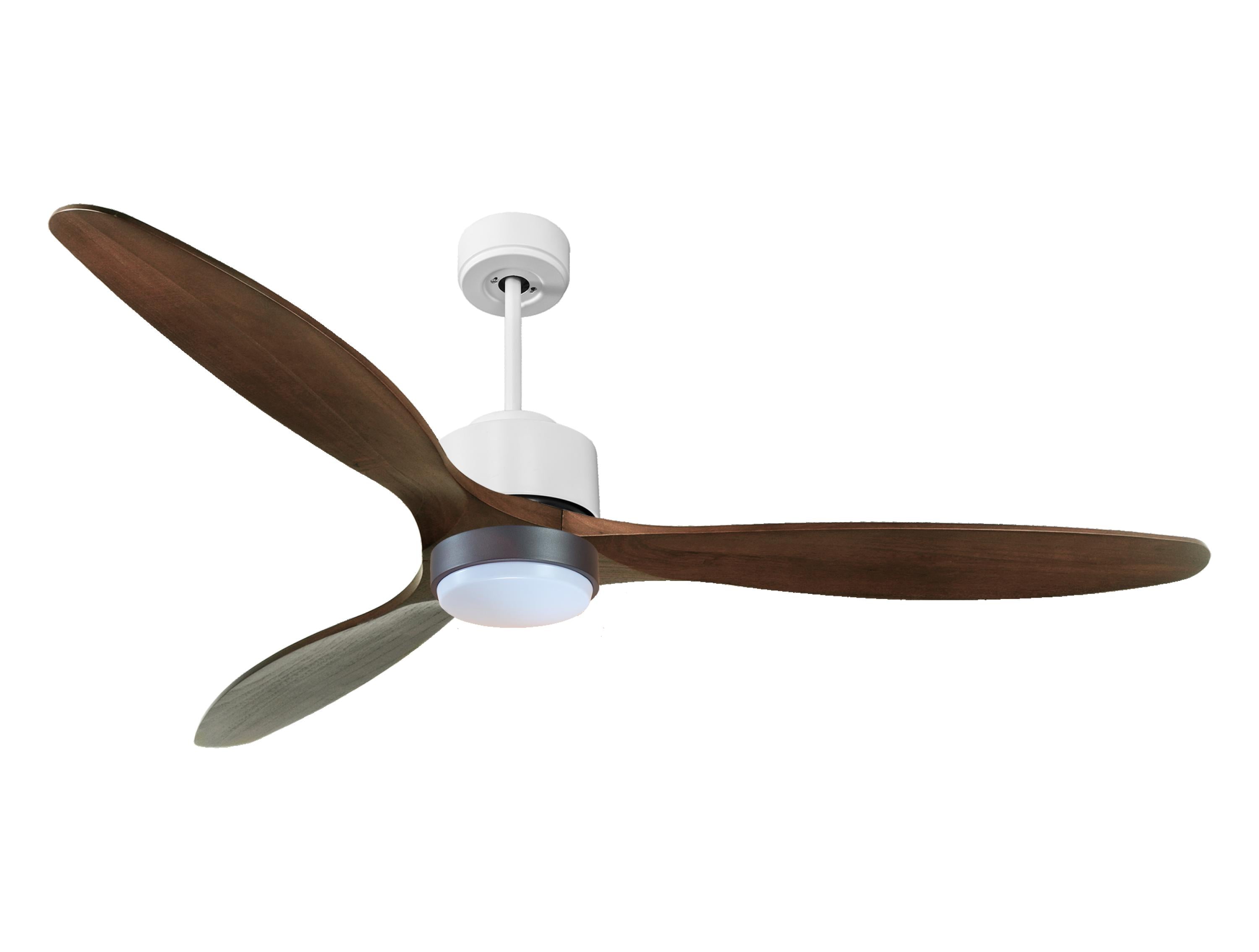 Ventilateur de plafond