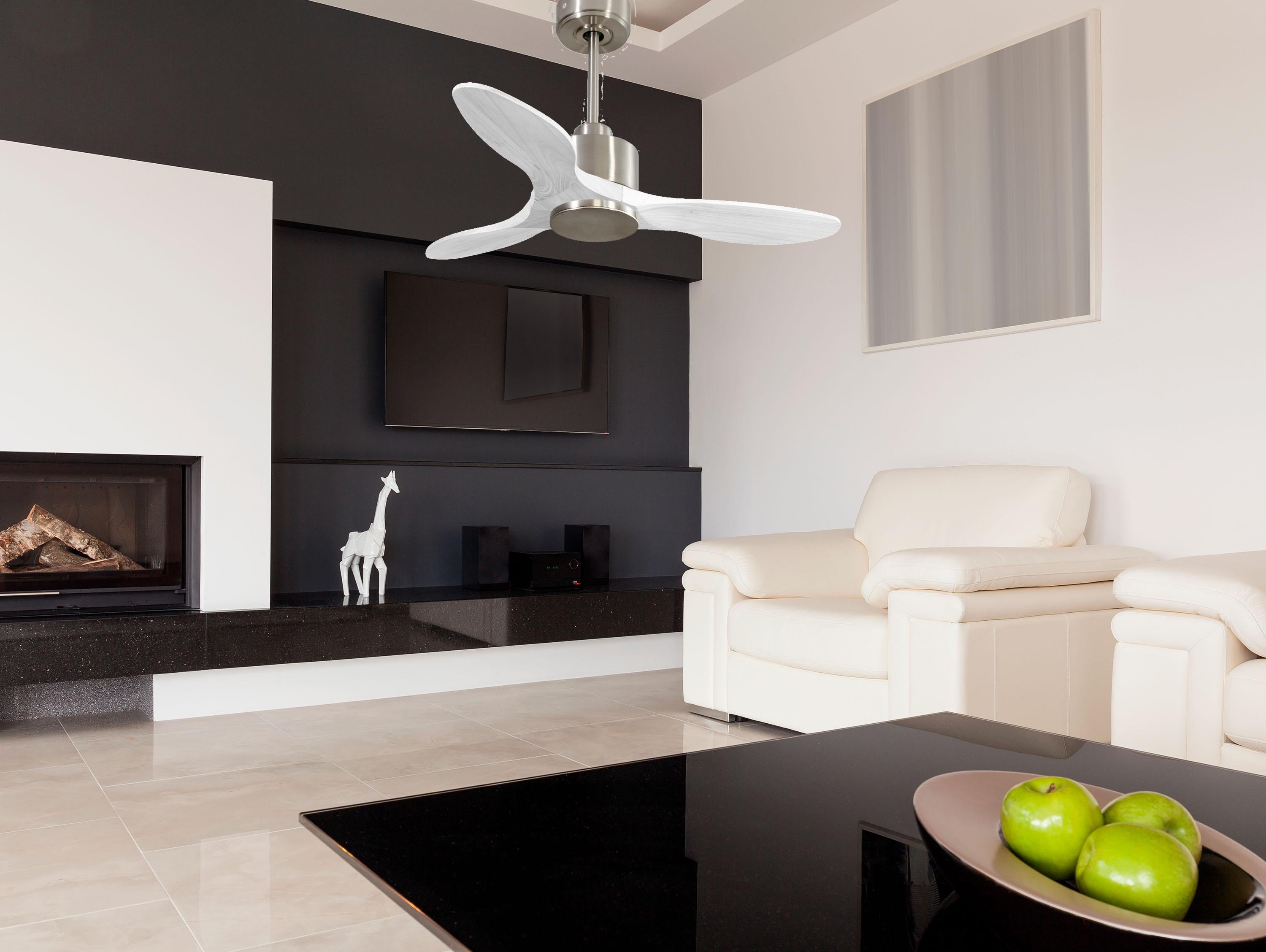 LimaD106C0364983: Ventiladores de teto