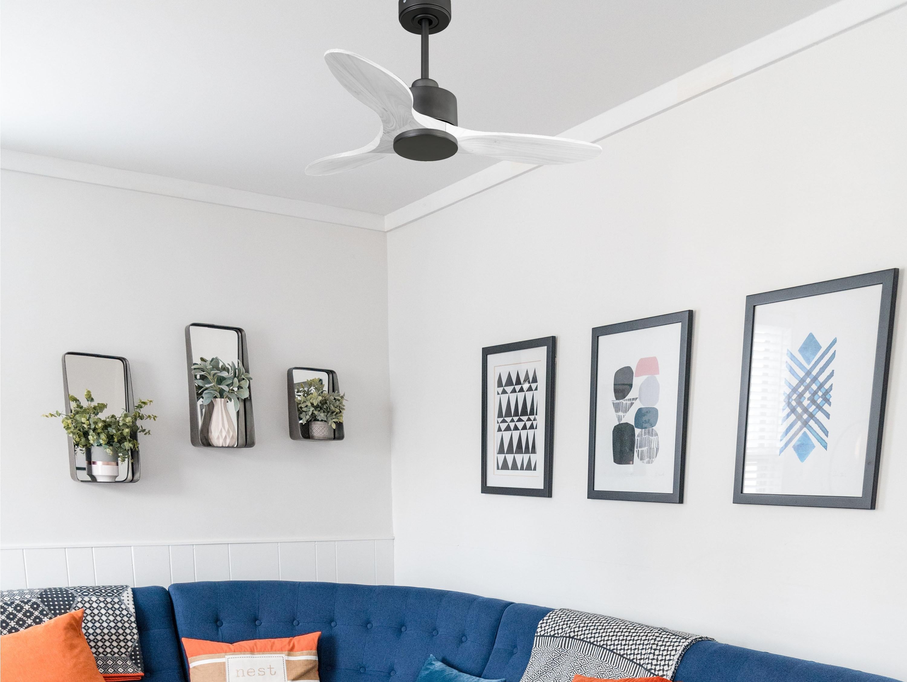 LimaD106C0365193: Ventiladores de teto
