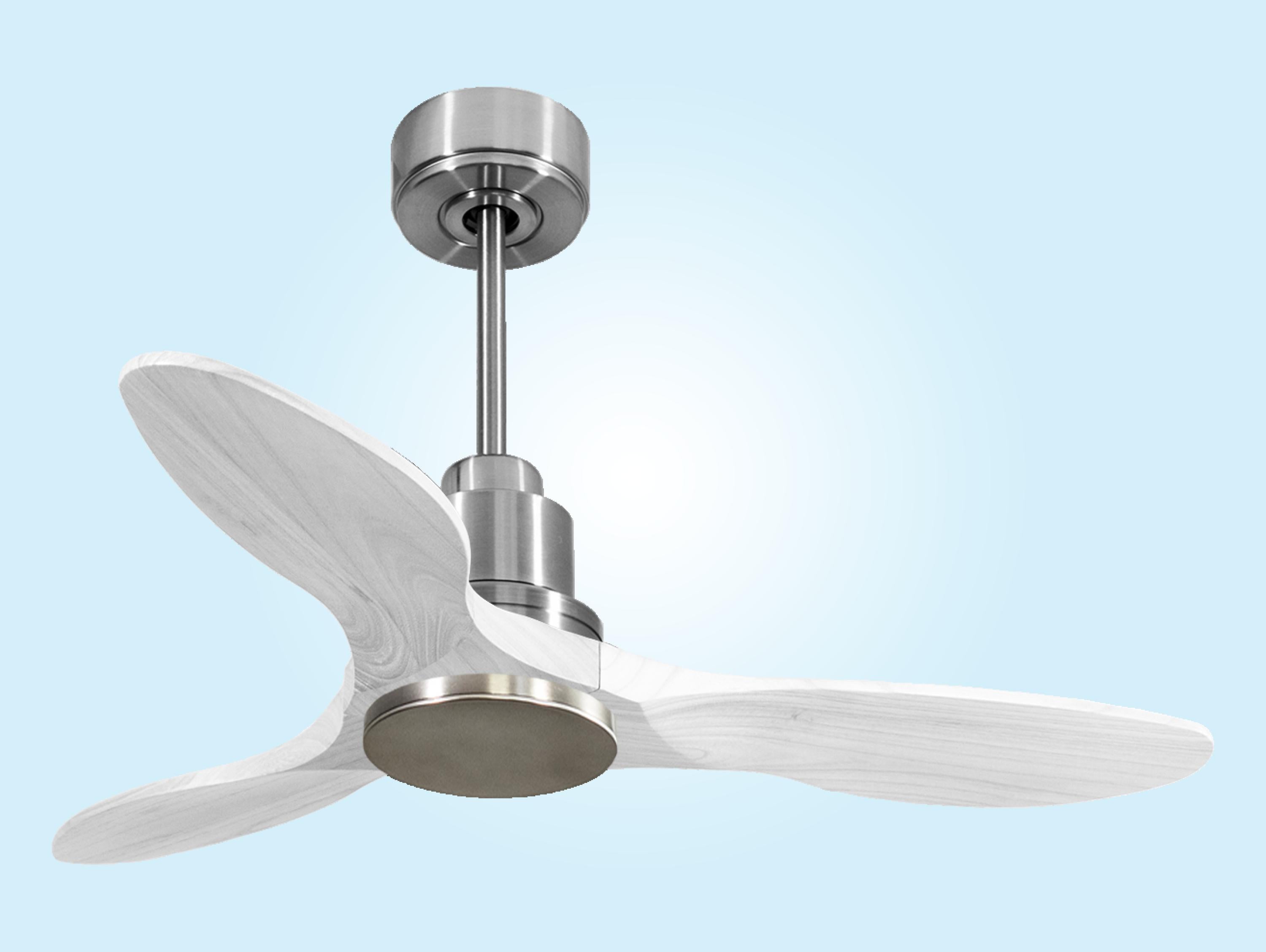 LimaD106C0464488: Ventiladores de teto