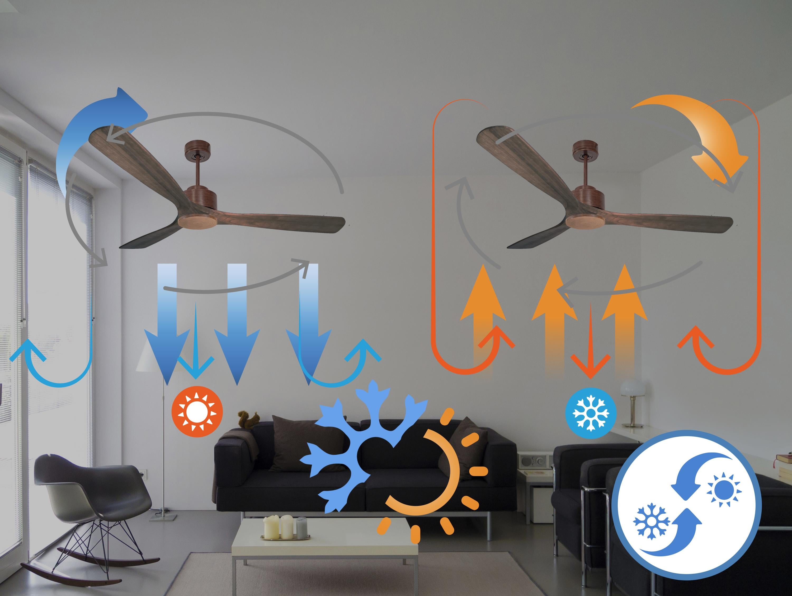 Marie D166 C02 66868  