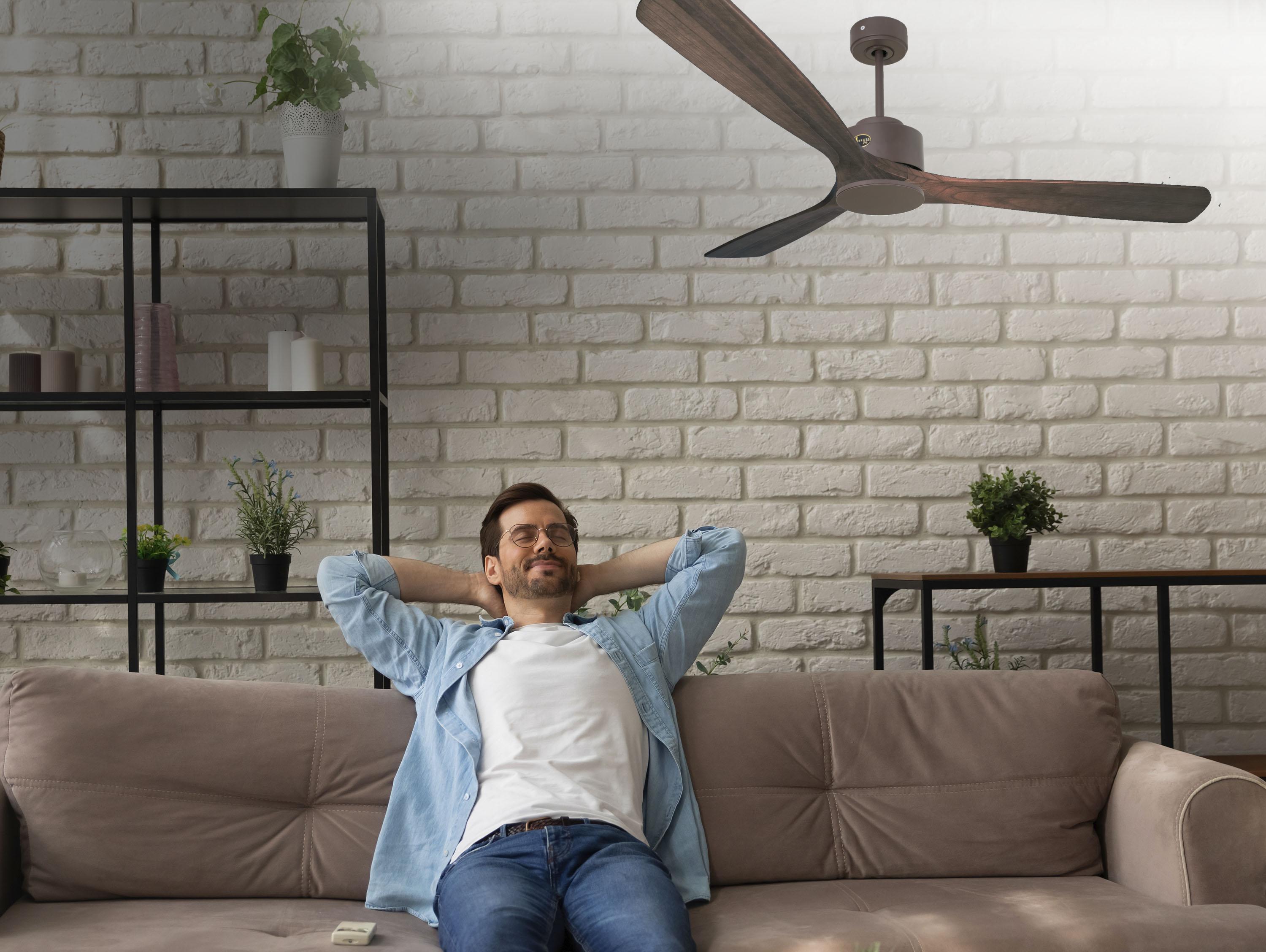 Ventiladores de teto  