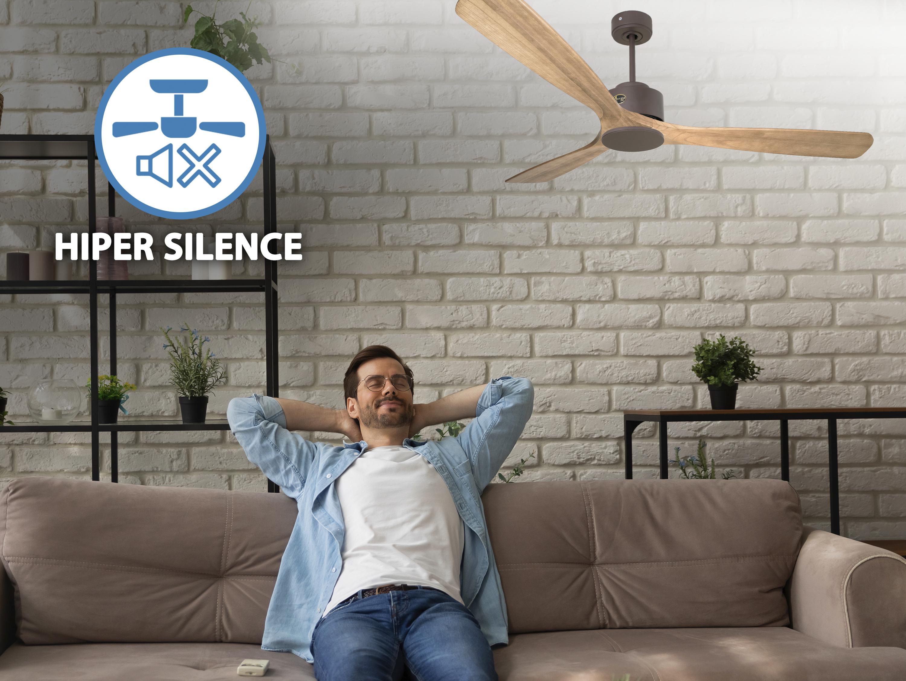   Ventilateur de plafond ø166 cm avec Wifi Réversible Hypersilence