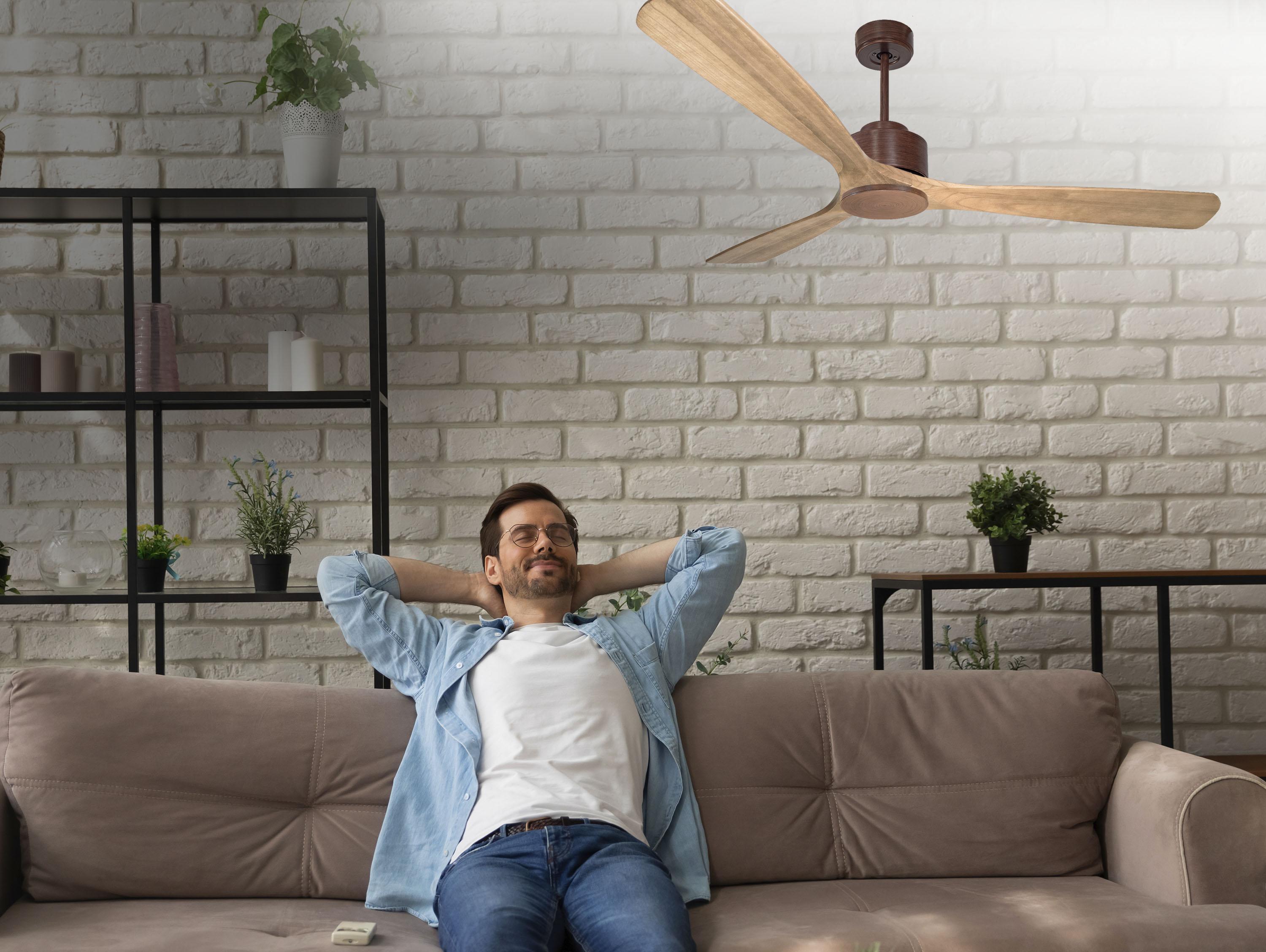   Ventilateur de plafond ø166 cm avec Wifi Réversible Hypersilence