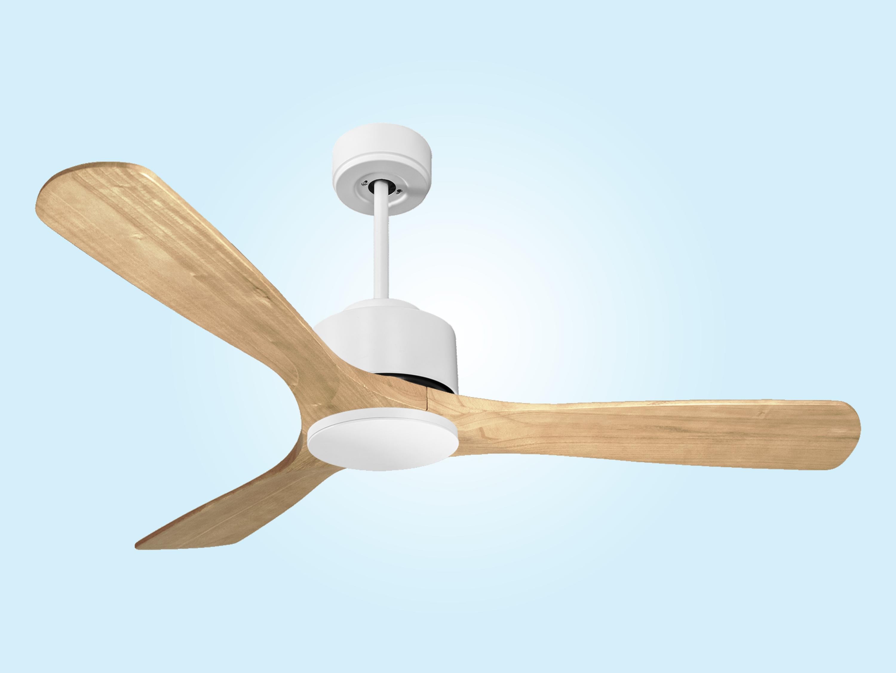 8435736322508 PURLINE