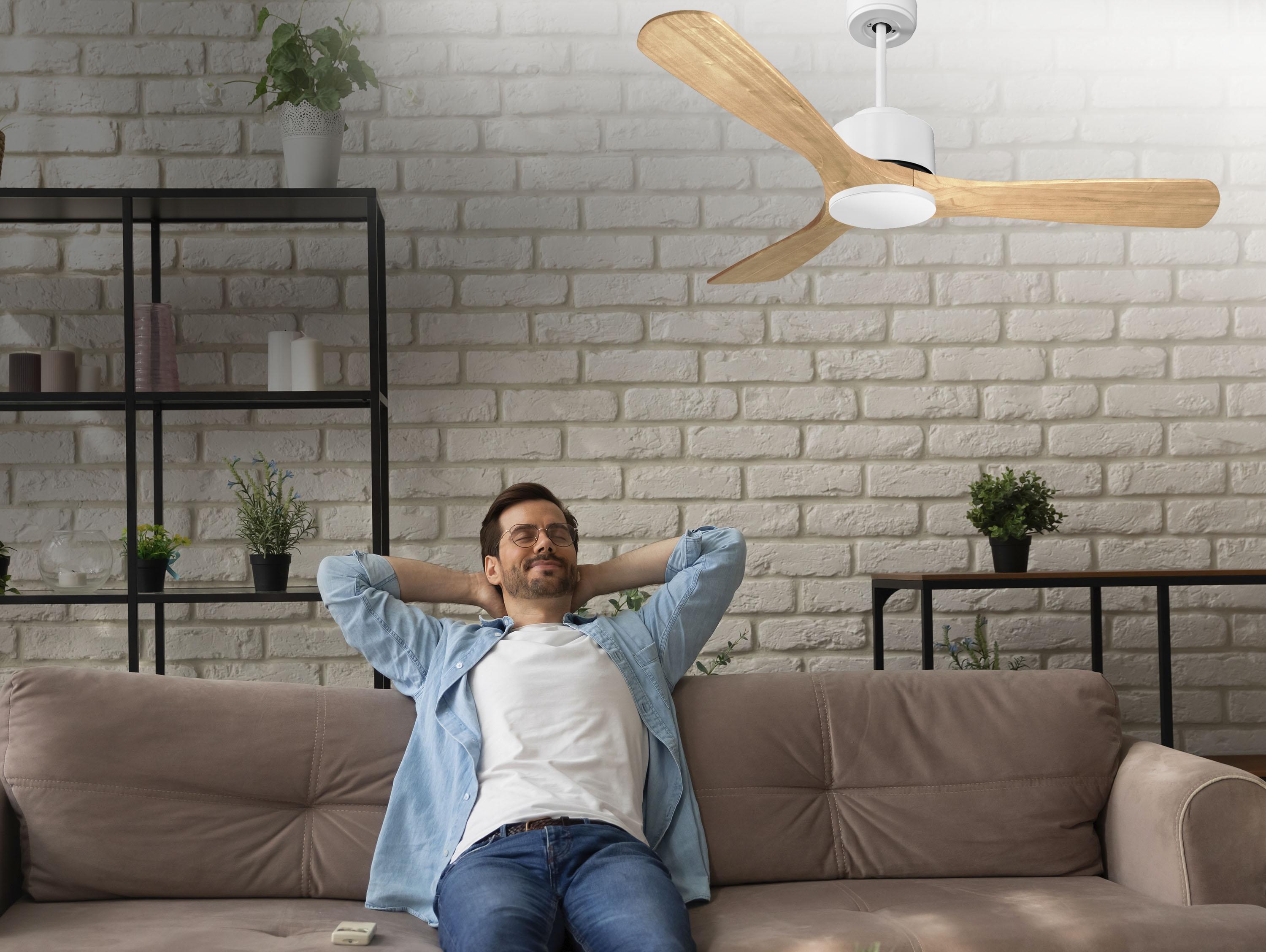 Ventiladores de teto  