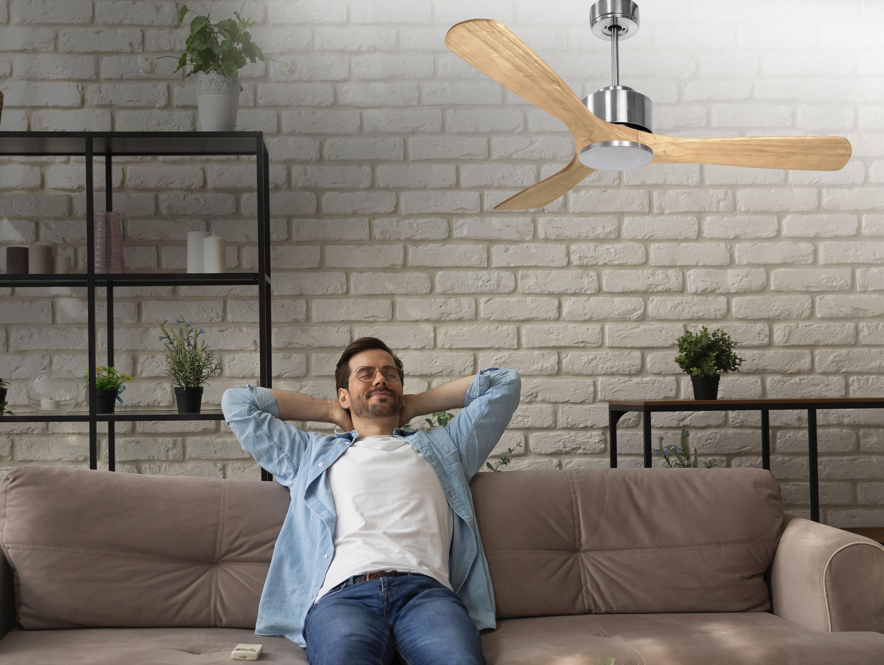   Ventilateur de plafond ø132 cm avec Wifi Réversible Hypersilence