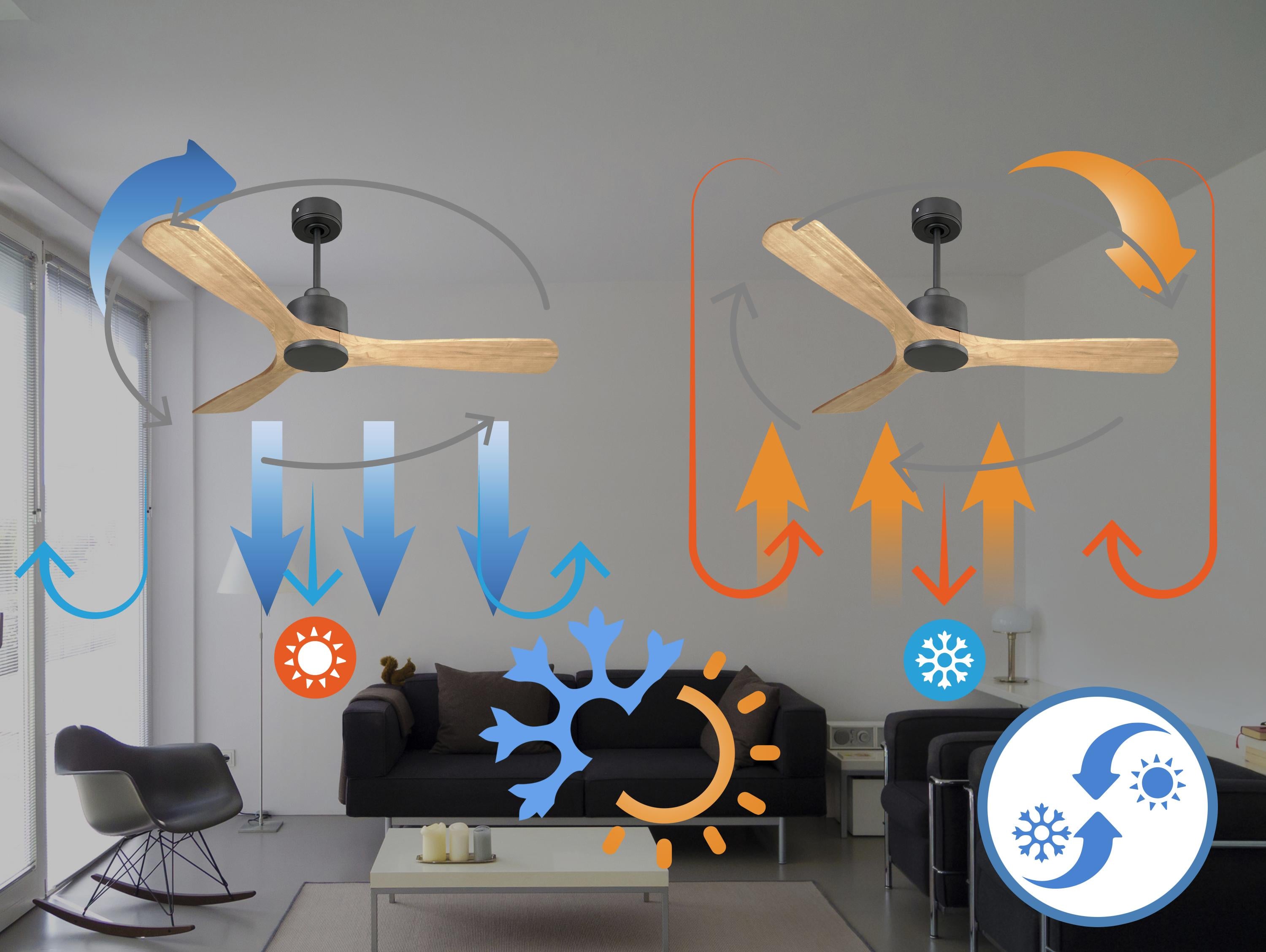 ParosD132C0365203: Ventiladores de teto