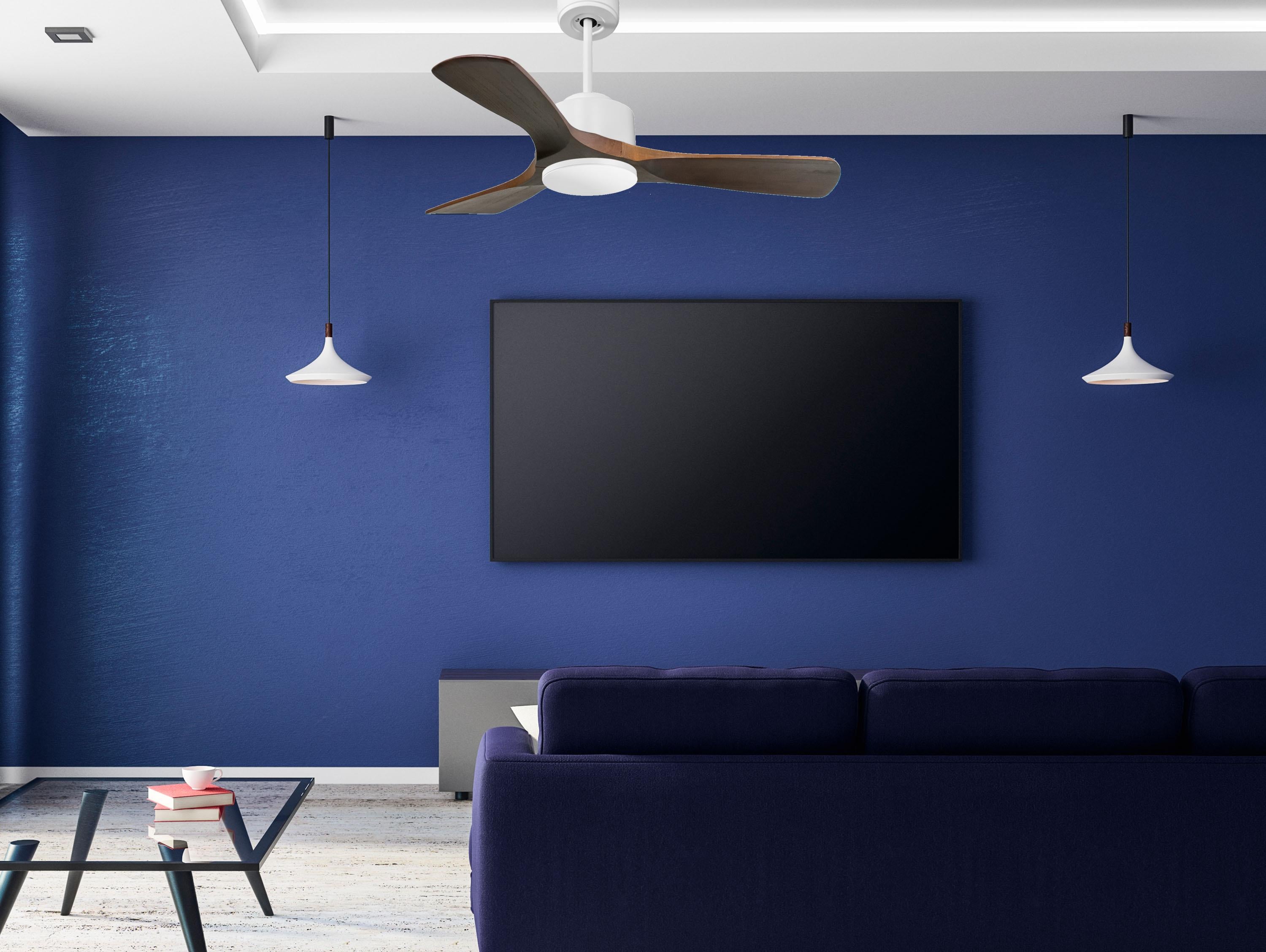 PrÃ­ncipe D106 C02 69141: Ventiladores de teto