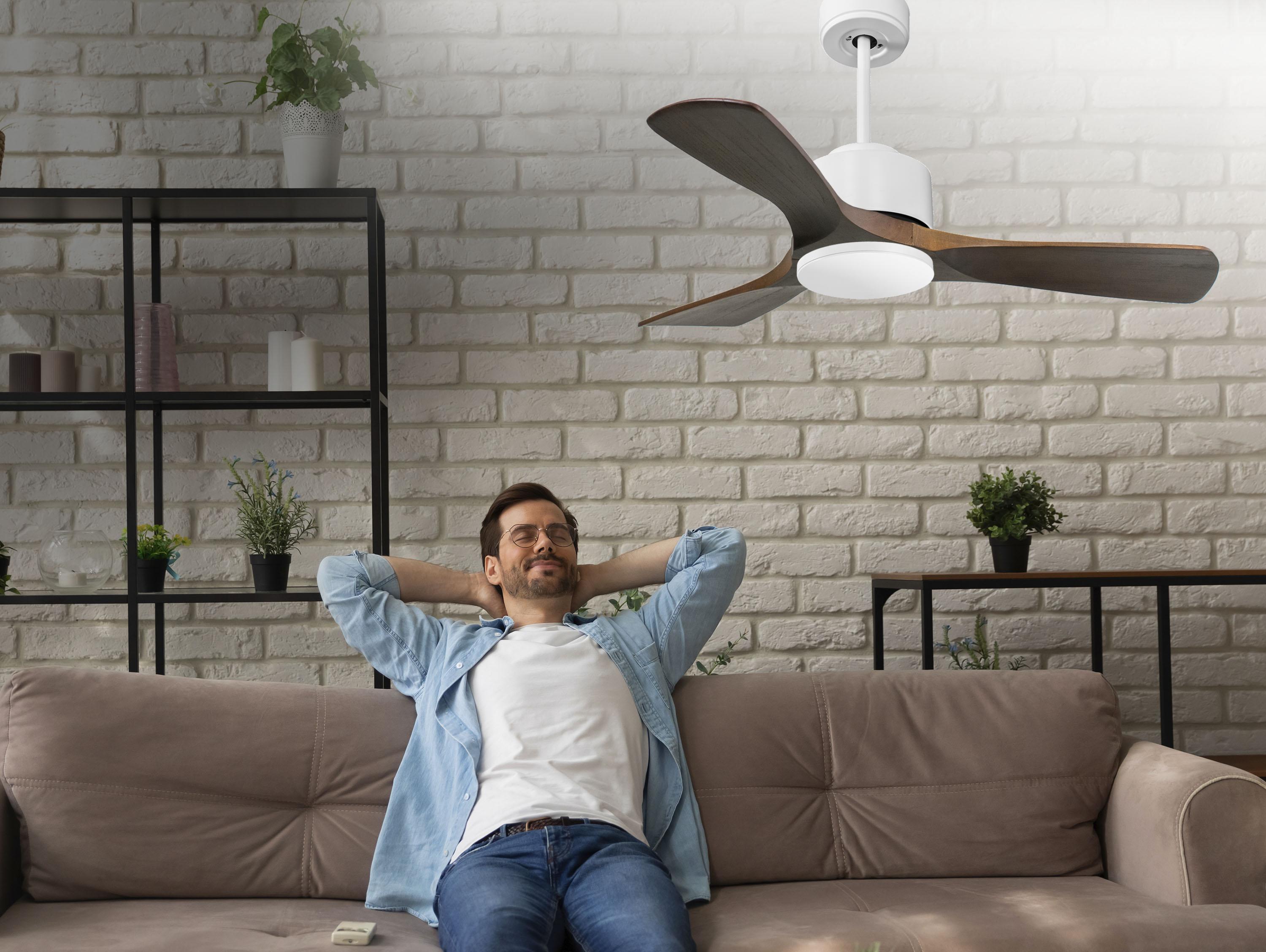   Ventilateur de plafond ø106 cm avec Wifi Réversible Hypersilence