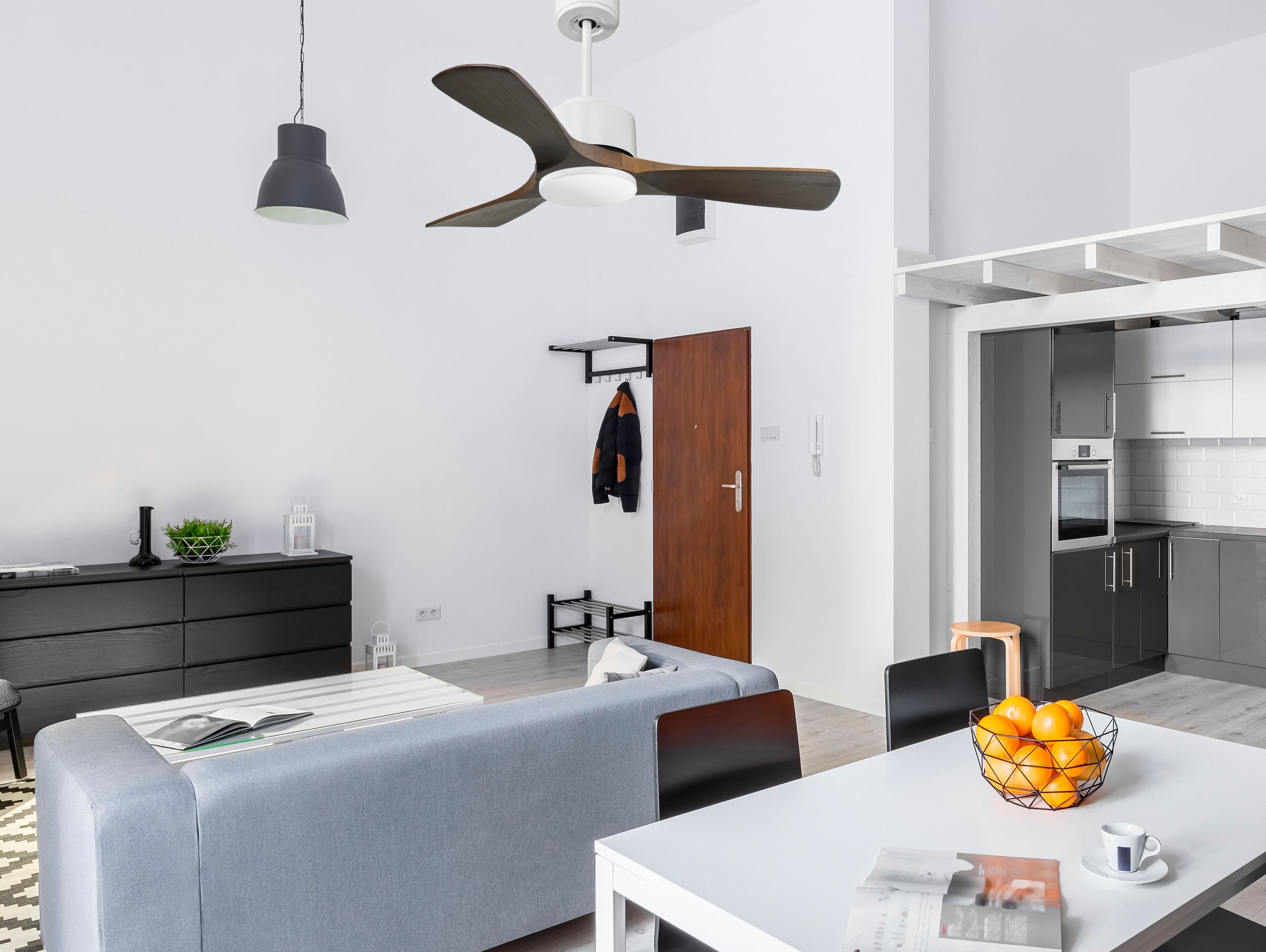 PrÃ­ncipe D106 C02 69141: Ventiladores de teto