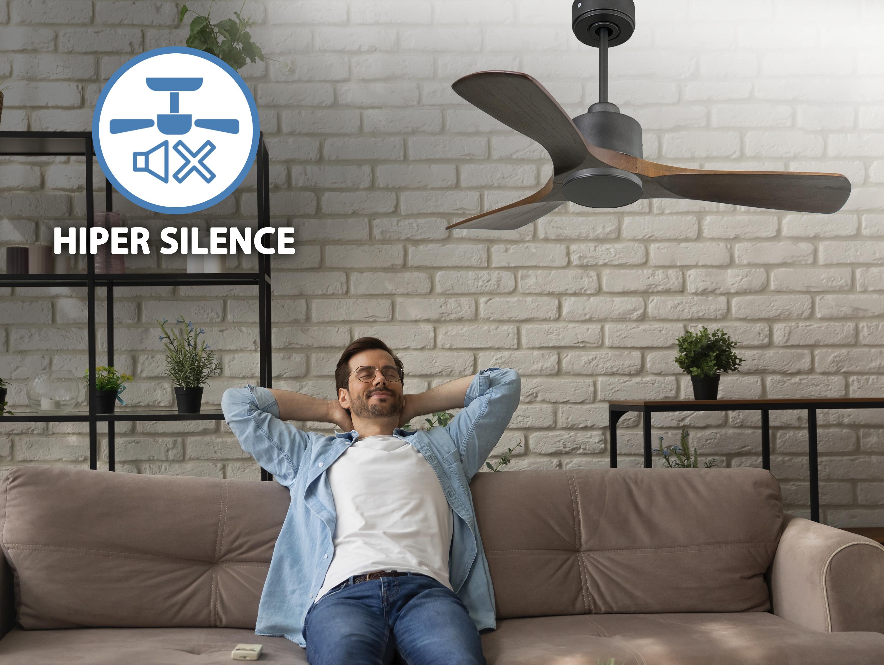 PrincipeD106C0365201: Ventilateur de plafond Réversible  Thermostat Wifi Moteur à courant continu Toits en pente Télécommande Hypersilence Mémoire