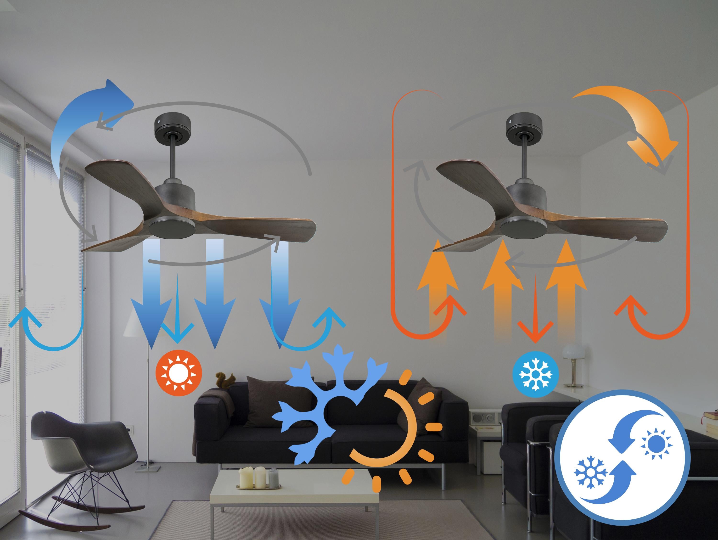 PrincipeD106C0365201: Ventiladores de teto