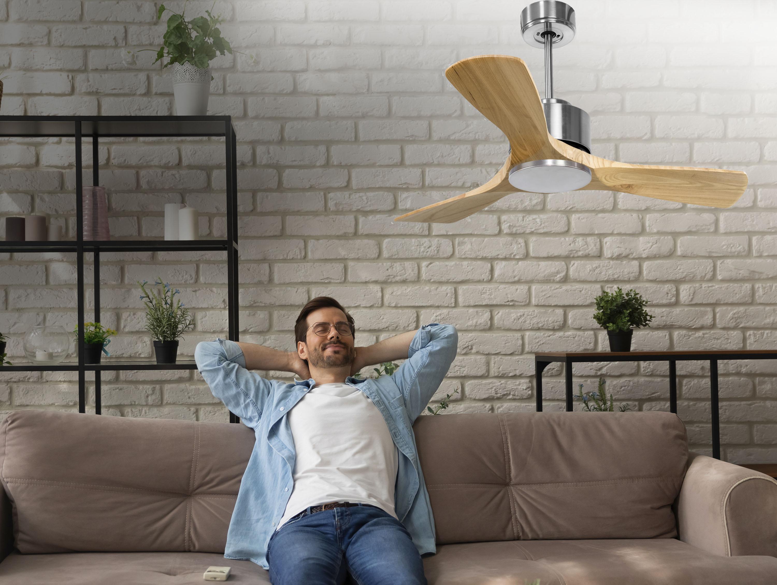   Ventilateur de plafond ø106 cm avec Wifi Réversible Hypersilence