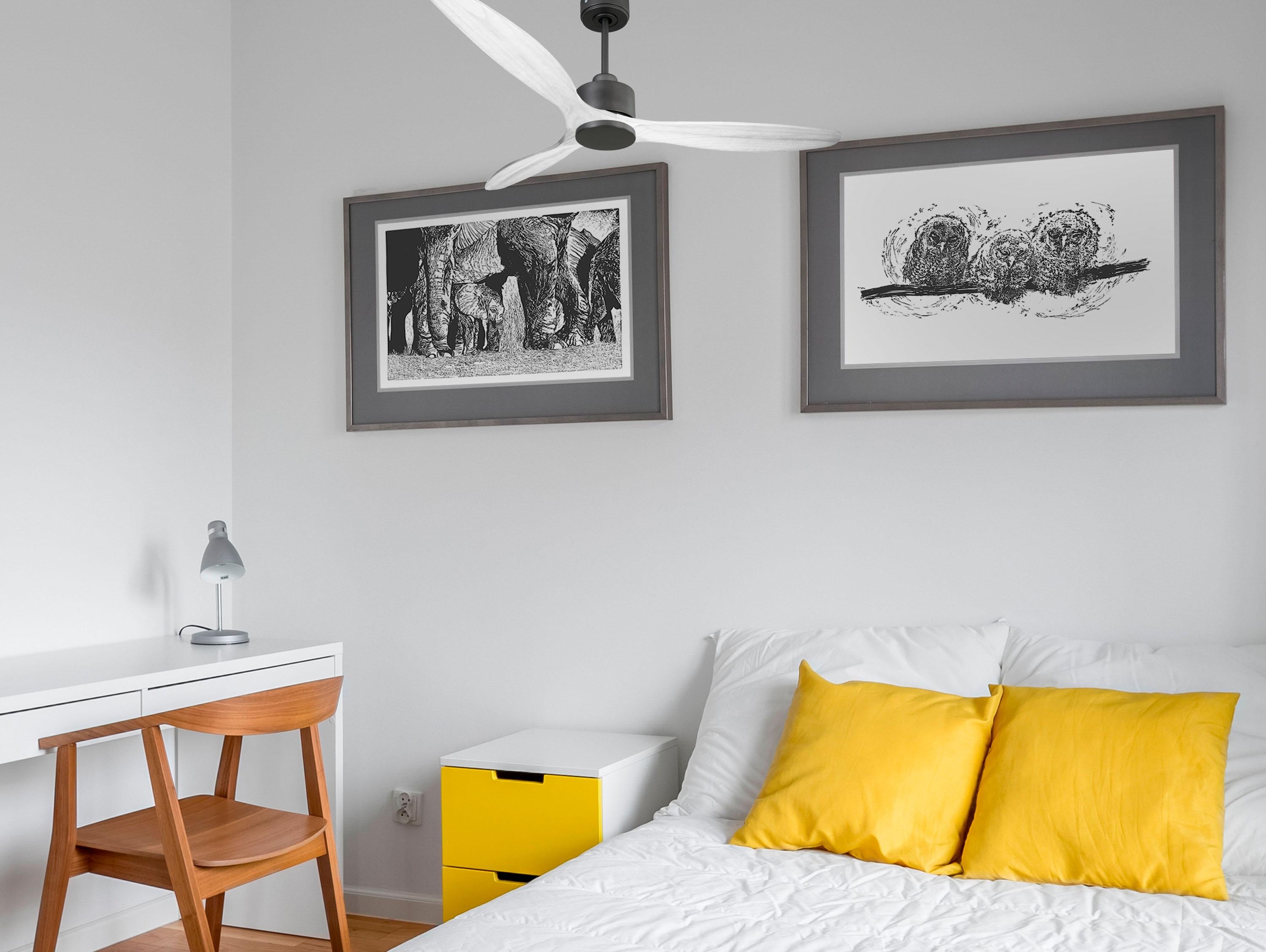 SalD166C0365199: Ventiladores de teto