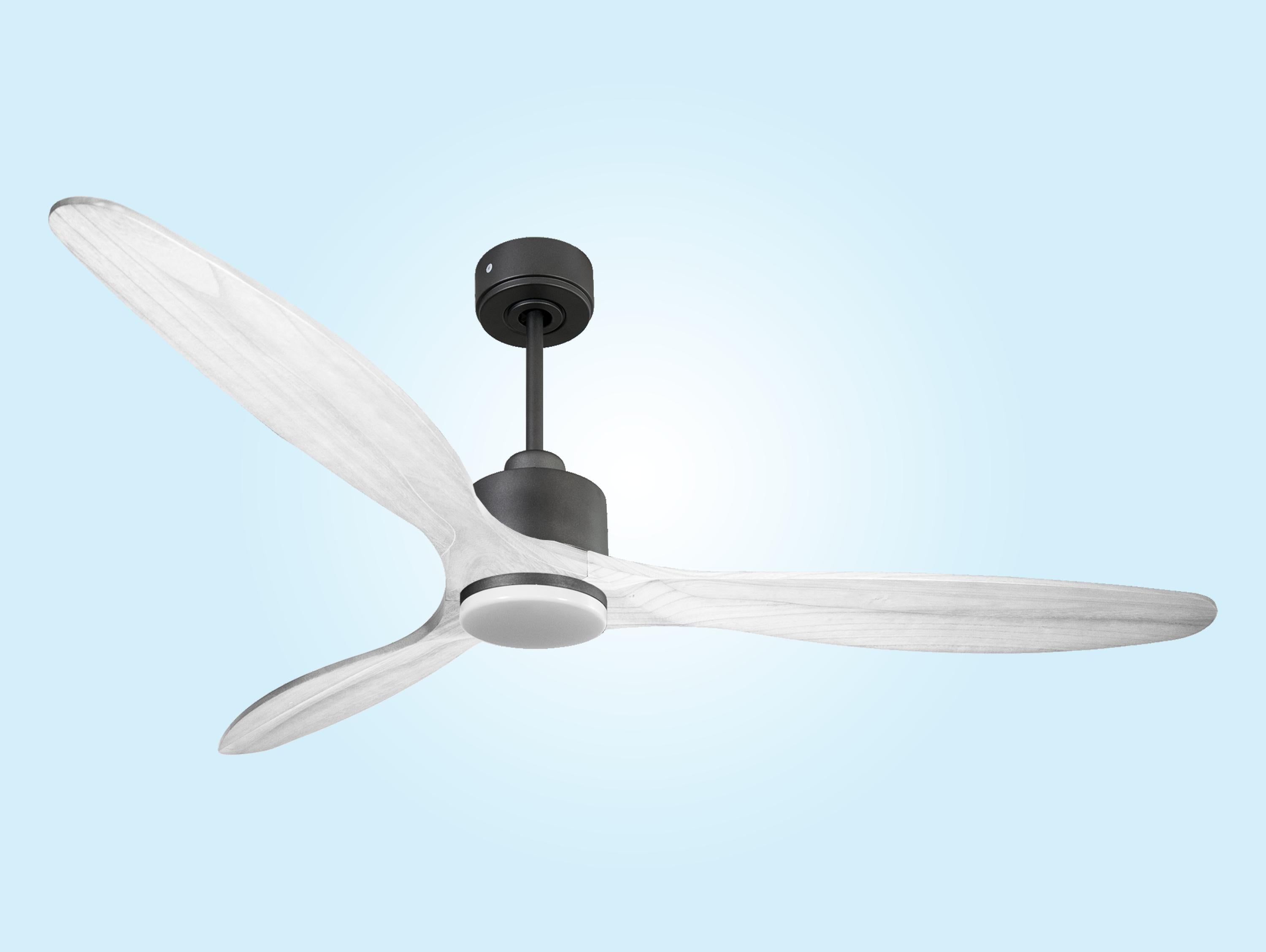 SalD166C03LED65267: Ventiladores de teto