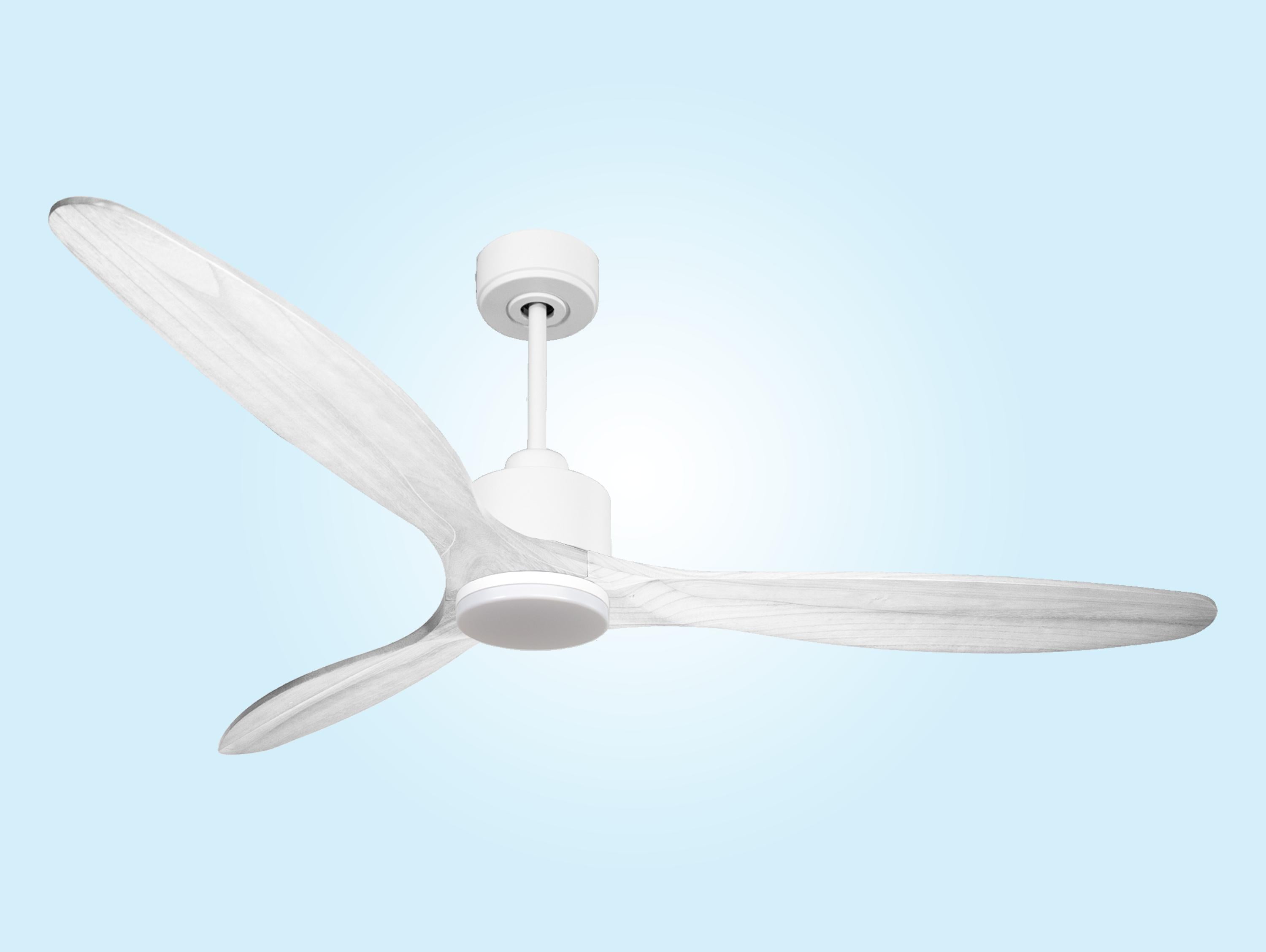 SalD166C03LED67775: Ventiladores de teto