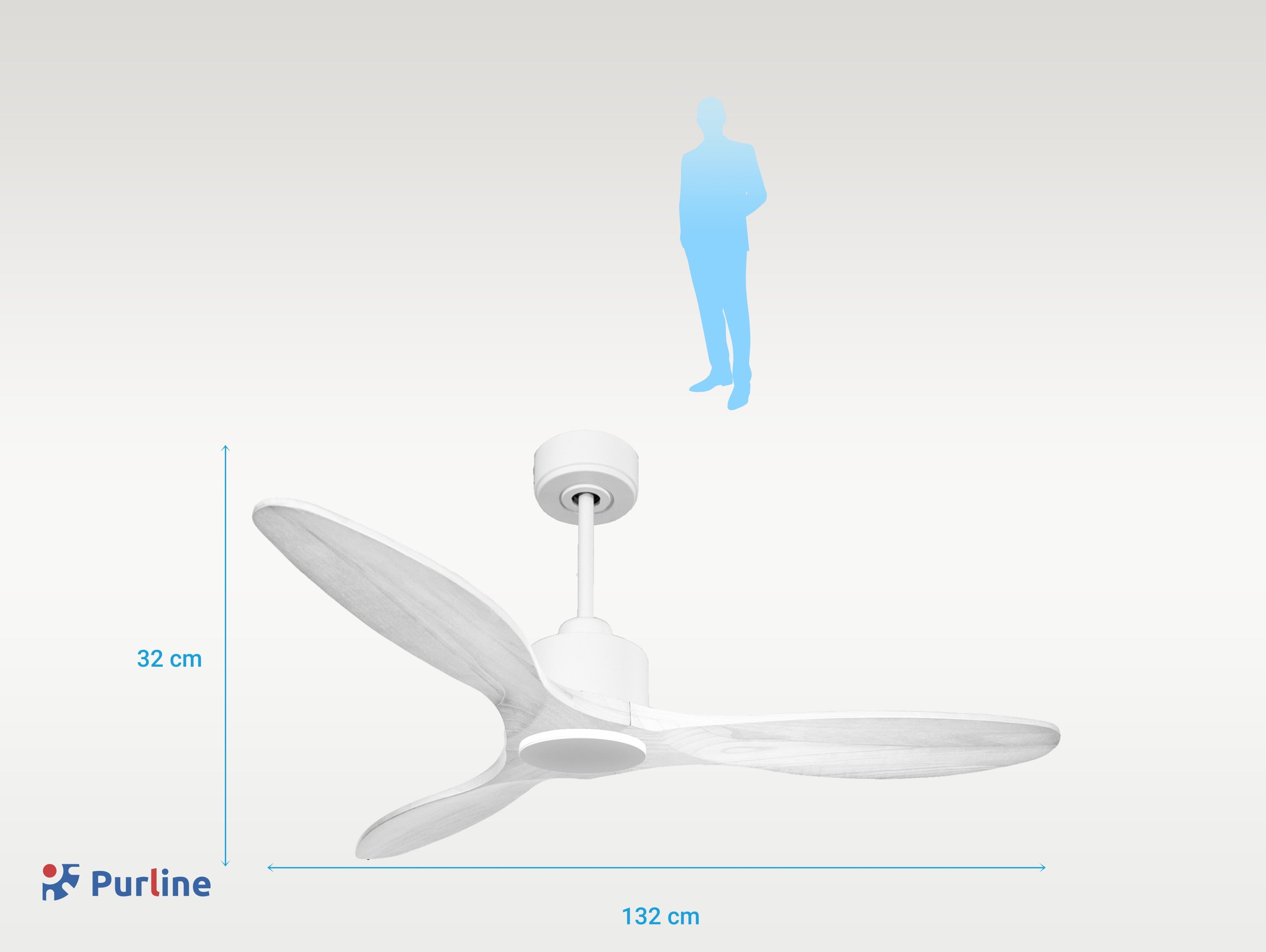 8435736307772 PURLINE