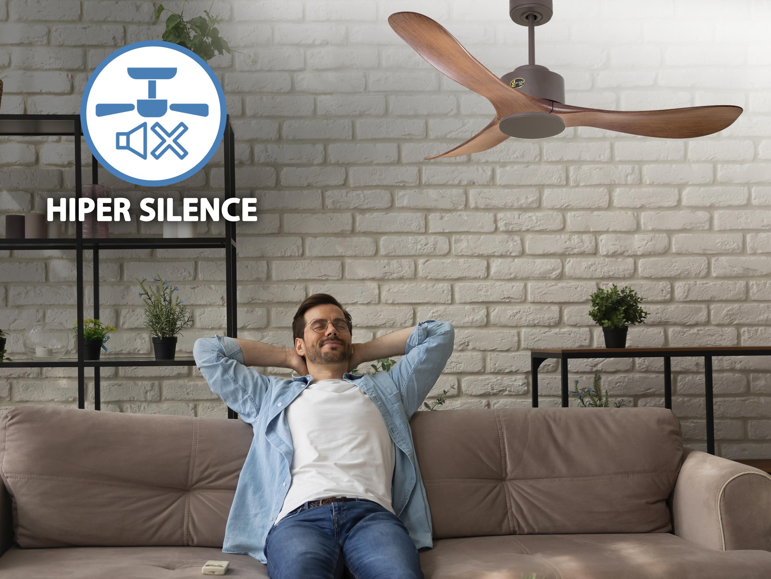 Togian D132 C02 65316: Ventilateur de plafond Réversible  Thermostat Wifi Moteur à courant continu Toits en pente Télécommande Hypersilence Mémoire Shopify Vendible (AUTOMATIQUE)