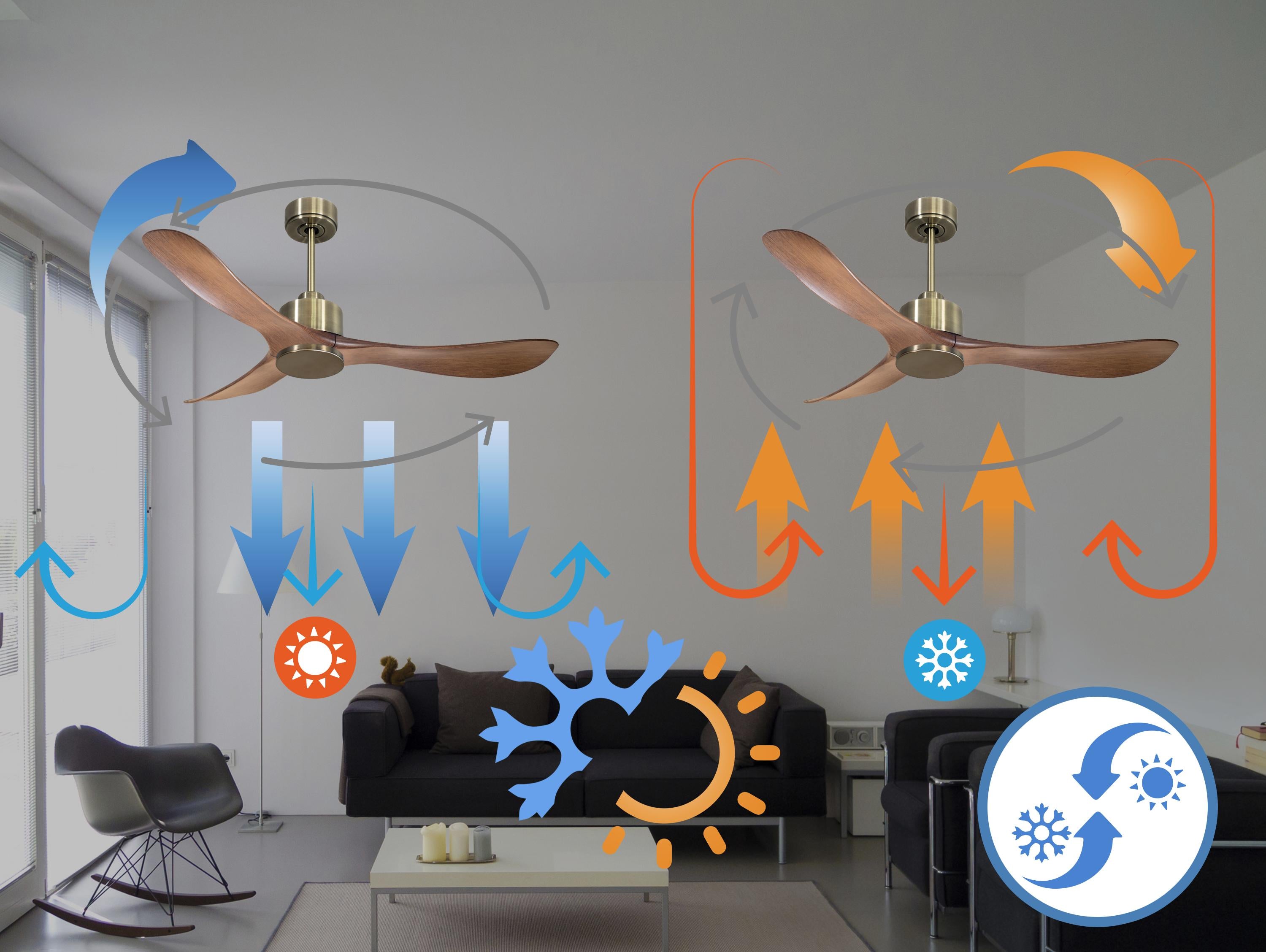 TogianD132C0364769: Ventilateur de plafond Réversible  Thermostat Wifi Moteur à courant continu Toits en pente Télécommande Hypersilence Mémoire