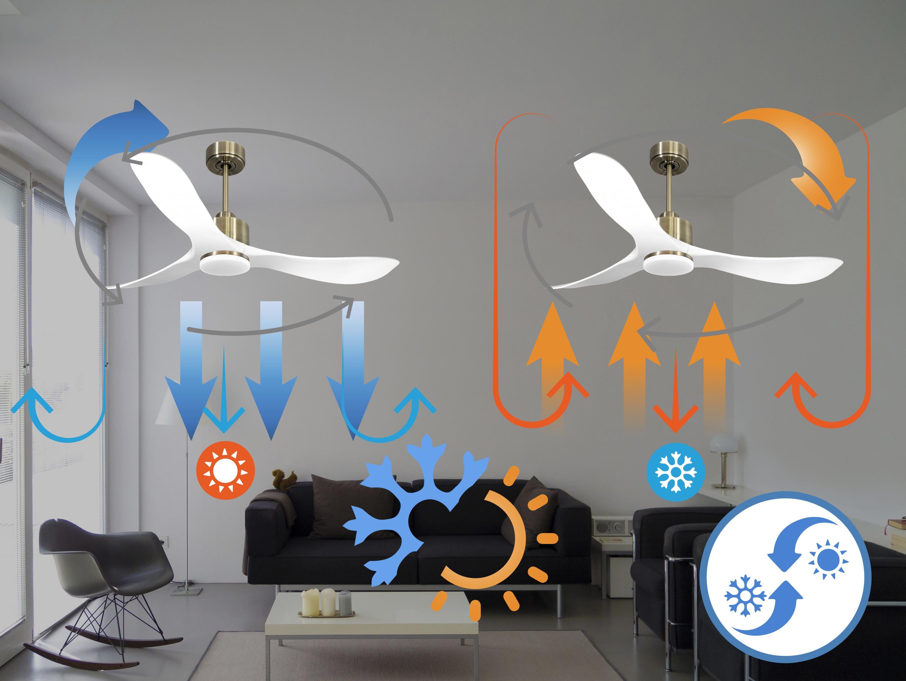 TongaD132C03LED64830: Ventiladores de teto