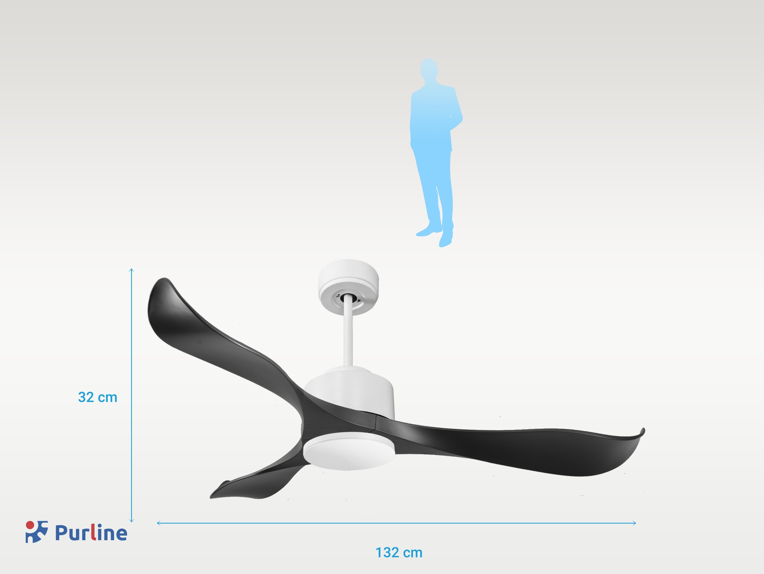 8435736322256 PURLINE