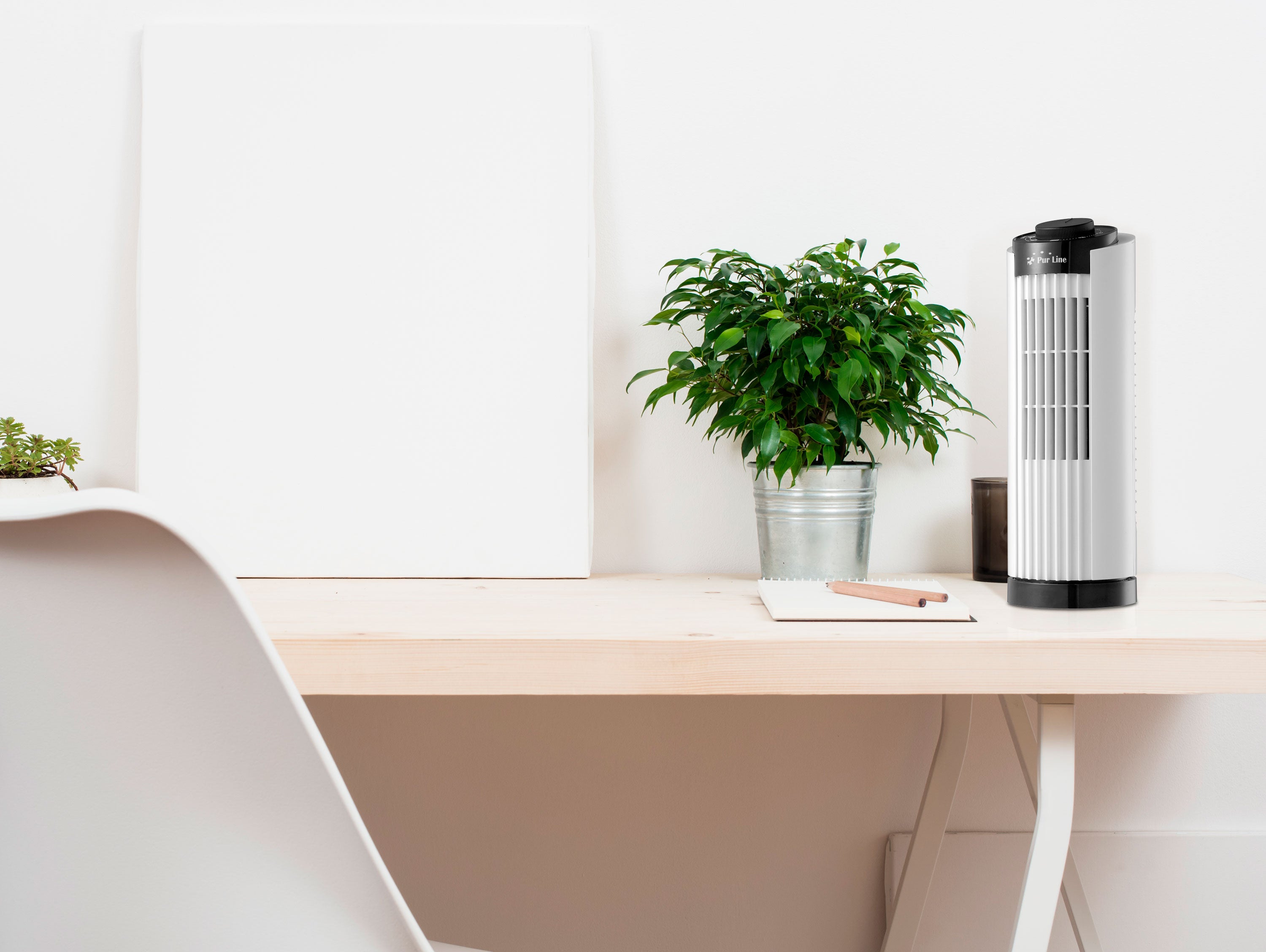 VENTY TO 10: Les fans