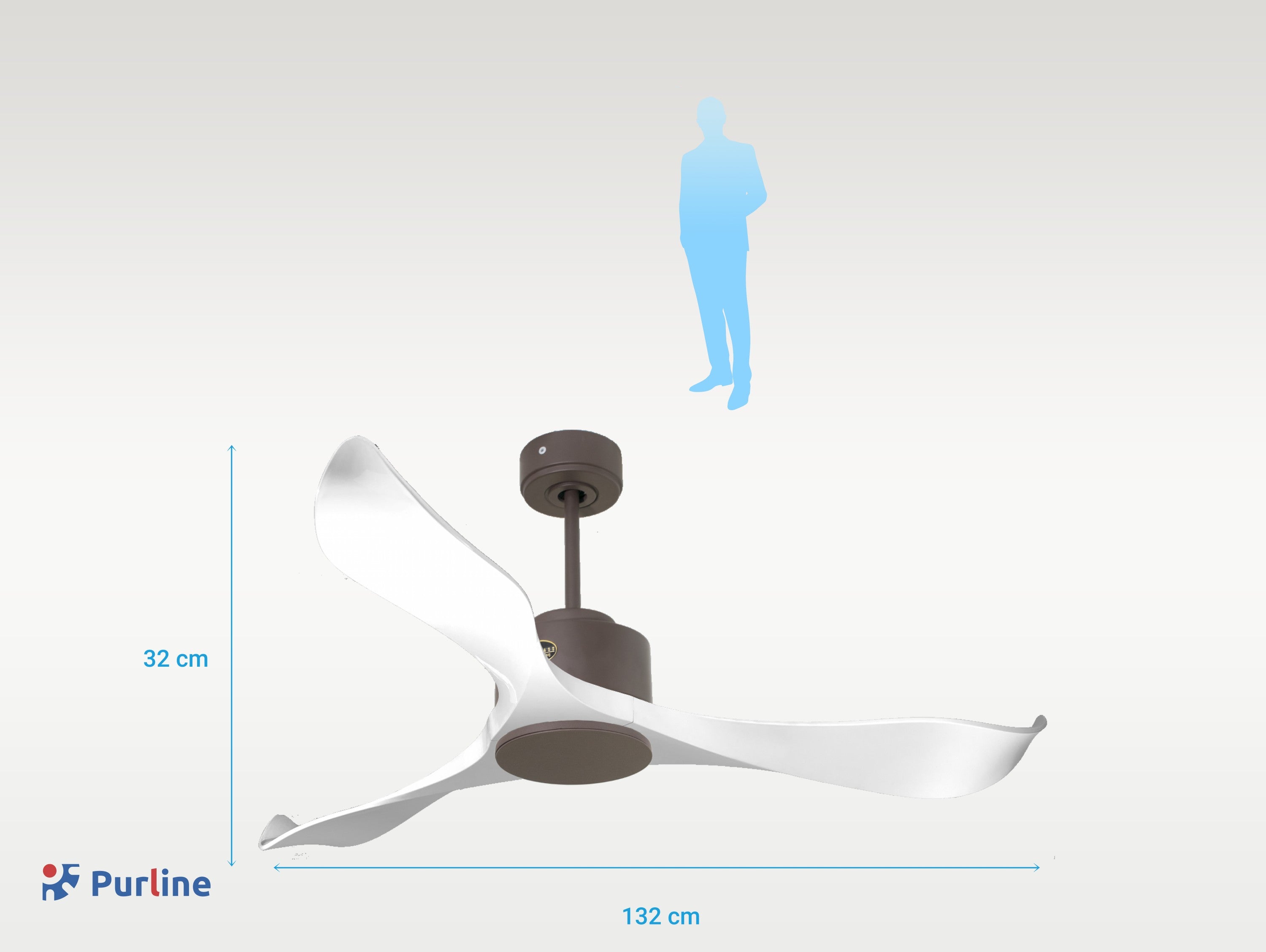 Virgin D132 C02 65311: Ventiladores de teto