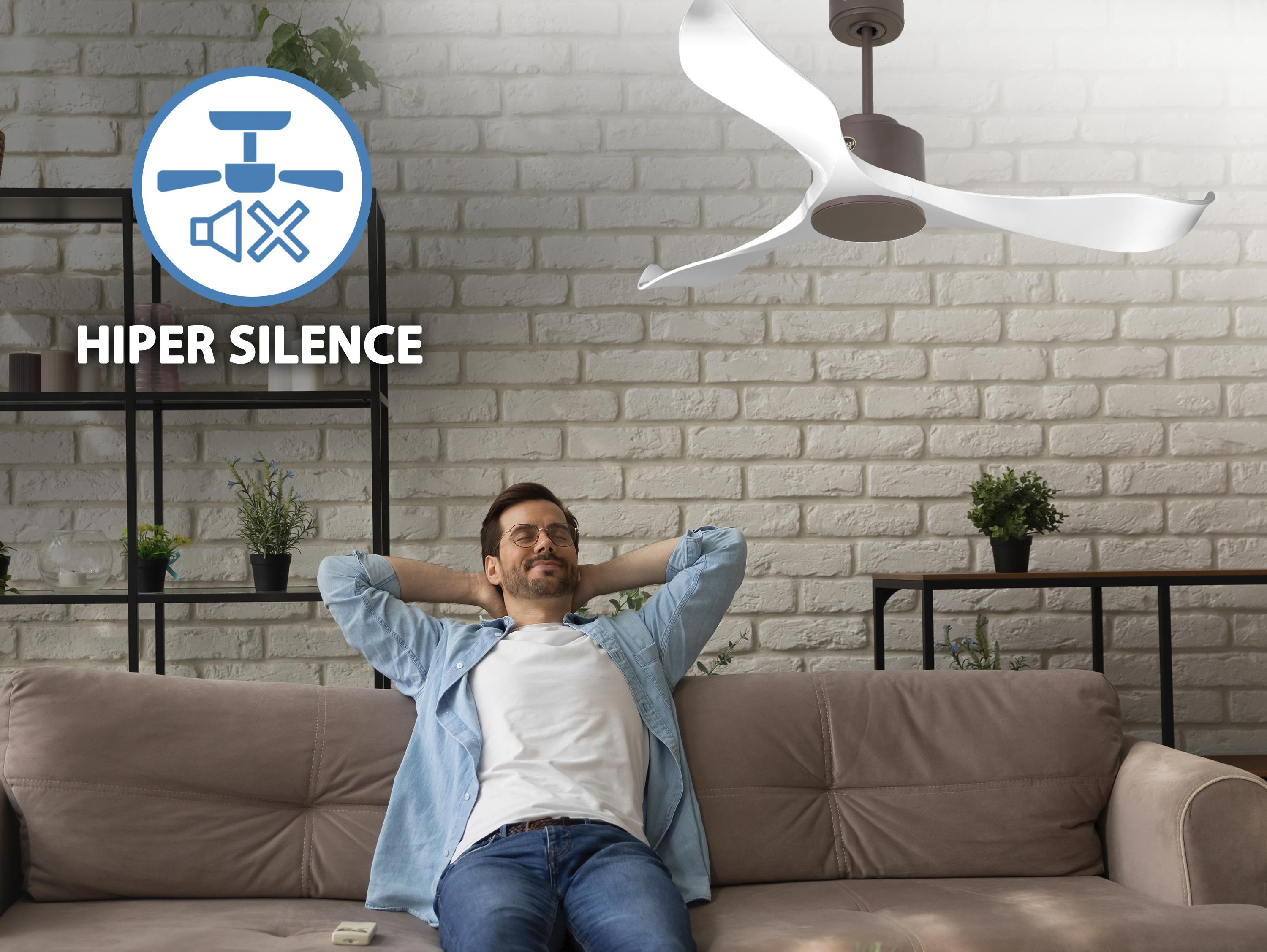 Virgin D132 C02 65311: Ventilateur de plafond Réversible  Thermostat Wifi Moteur à courant continu Toits en pente Télécommande Adaptateur 2/3 Lames Hypersilence Mémoire Shopify Vendible (AUTOMATIQUE)