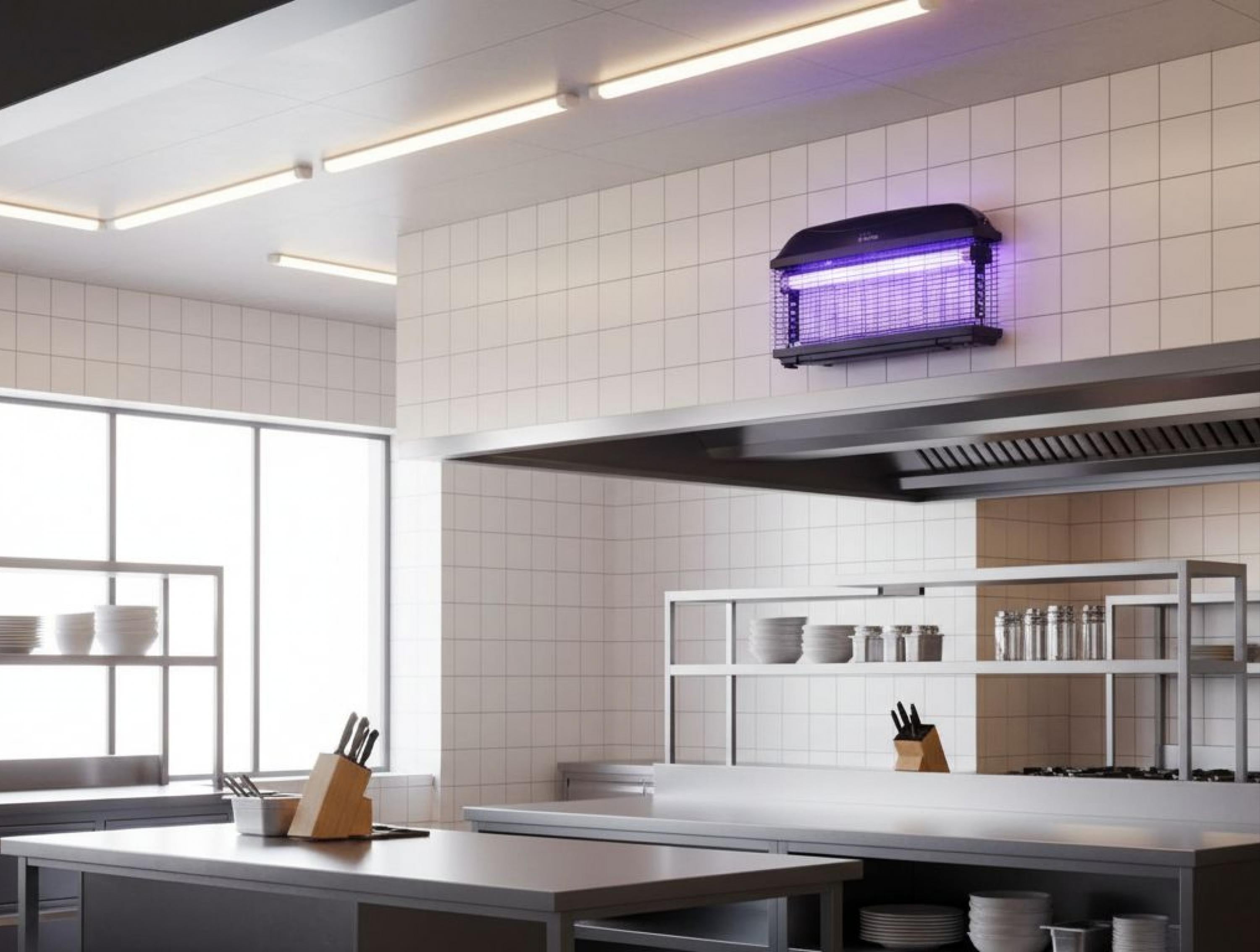 Insectes lampe UV 10 W