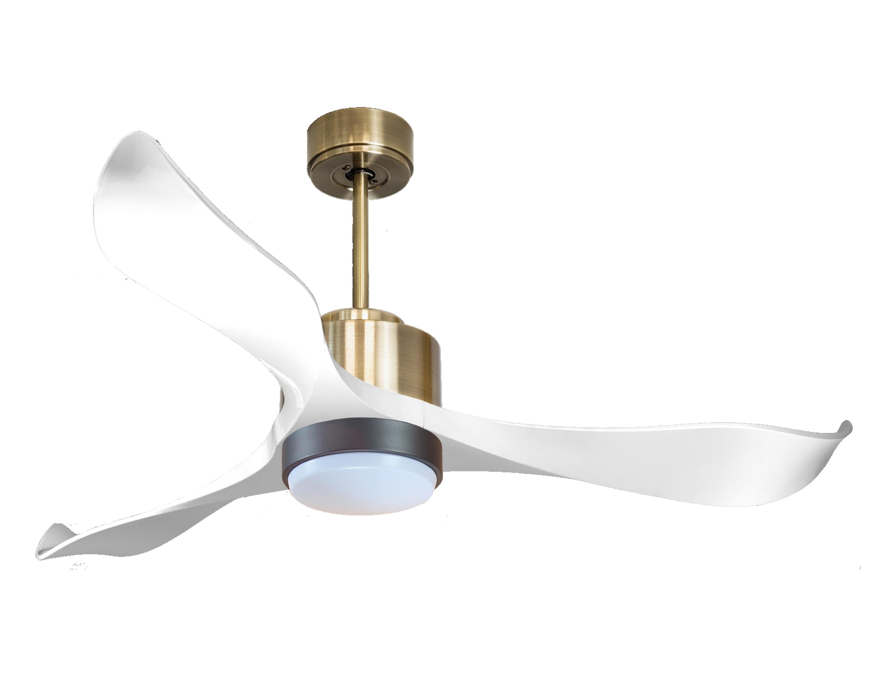 Ventilateur de plafond ultra silencieux et à faible consommation DC VirginD132C02LED65788