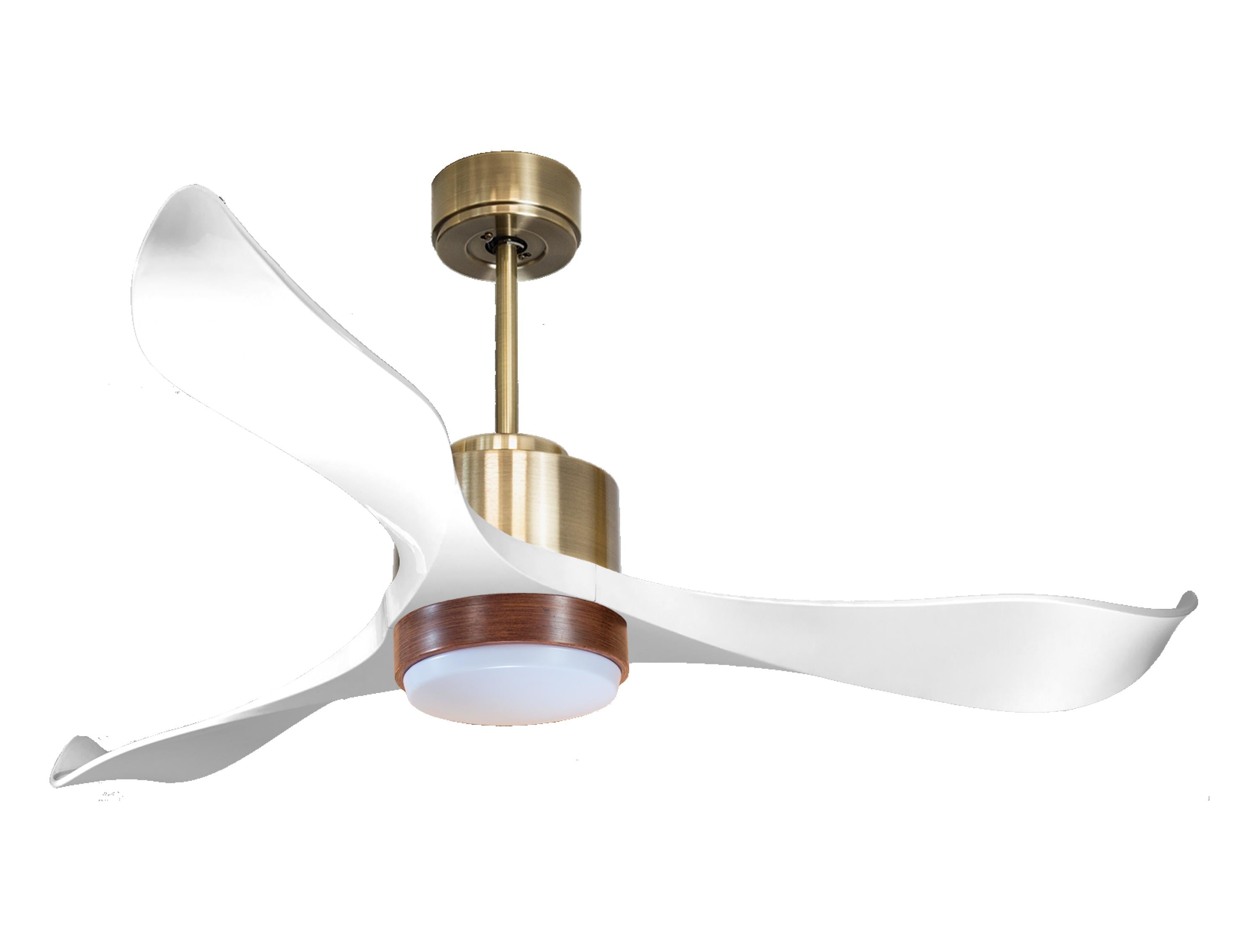 Ventilateur de plafond ultra silencieux et à faible consommation DC VirginD132C02LED65789