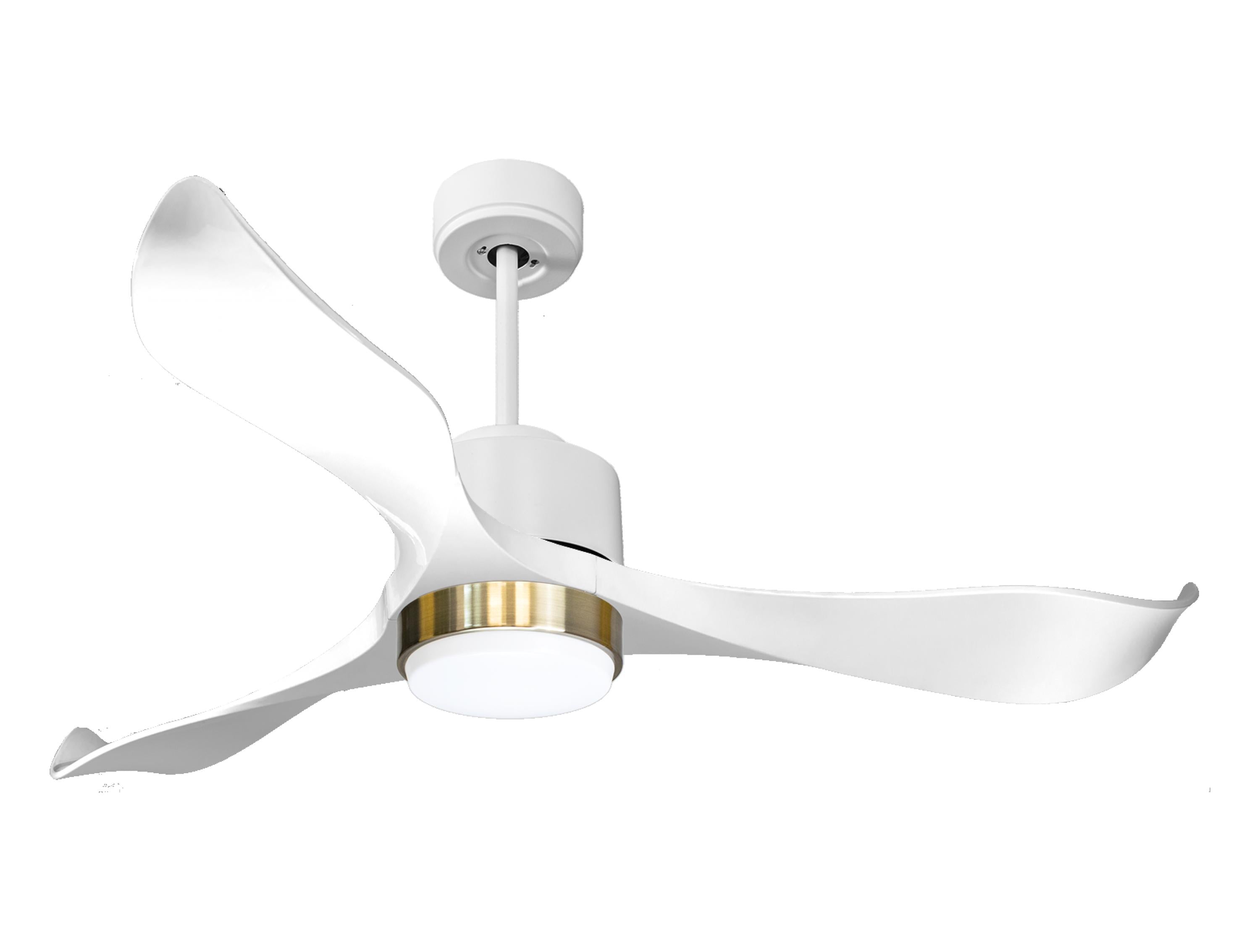 Ventilateur de plafond ultra silencieux et à faible consommation DC VirginD132C02LED66120