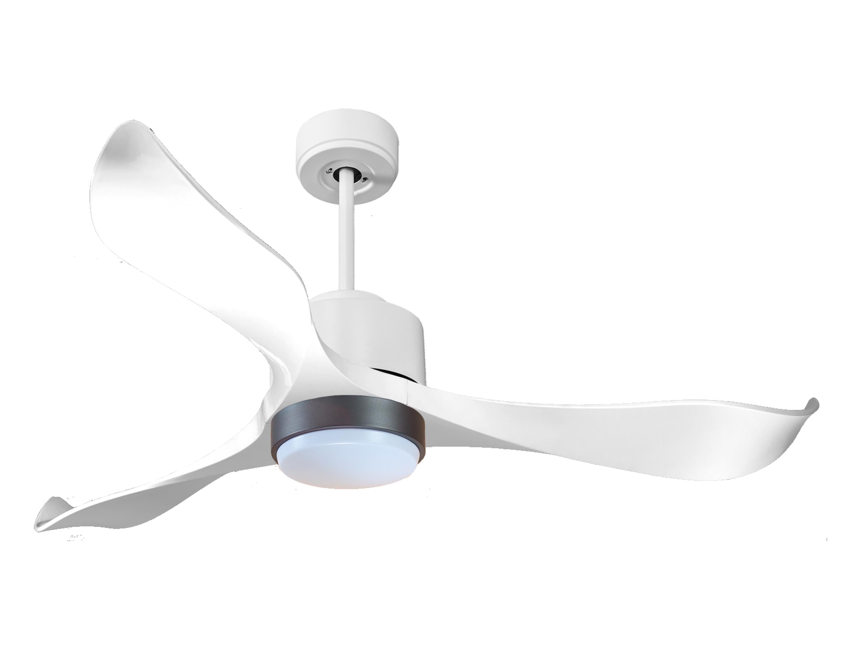 Ventilateur de plafond ultra silencieux et à faible consommation DC VirginD132C02LED66121